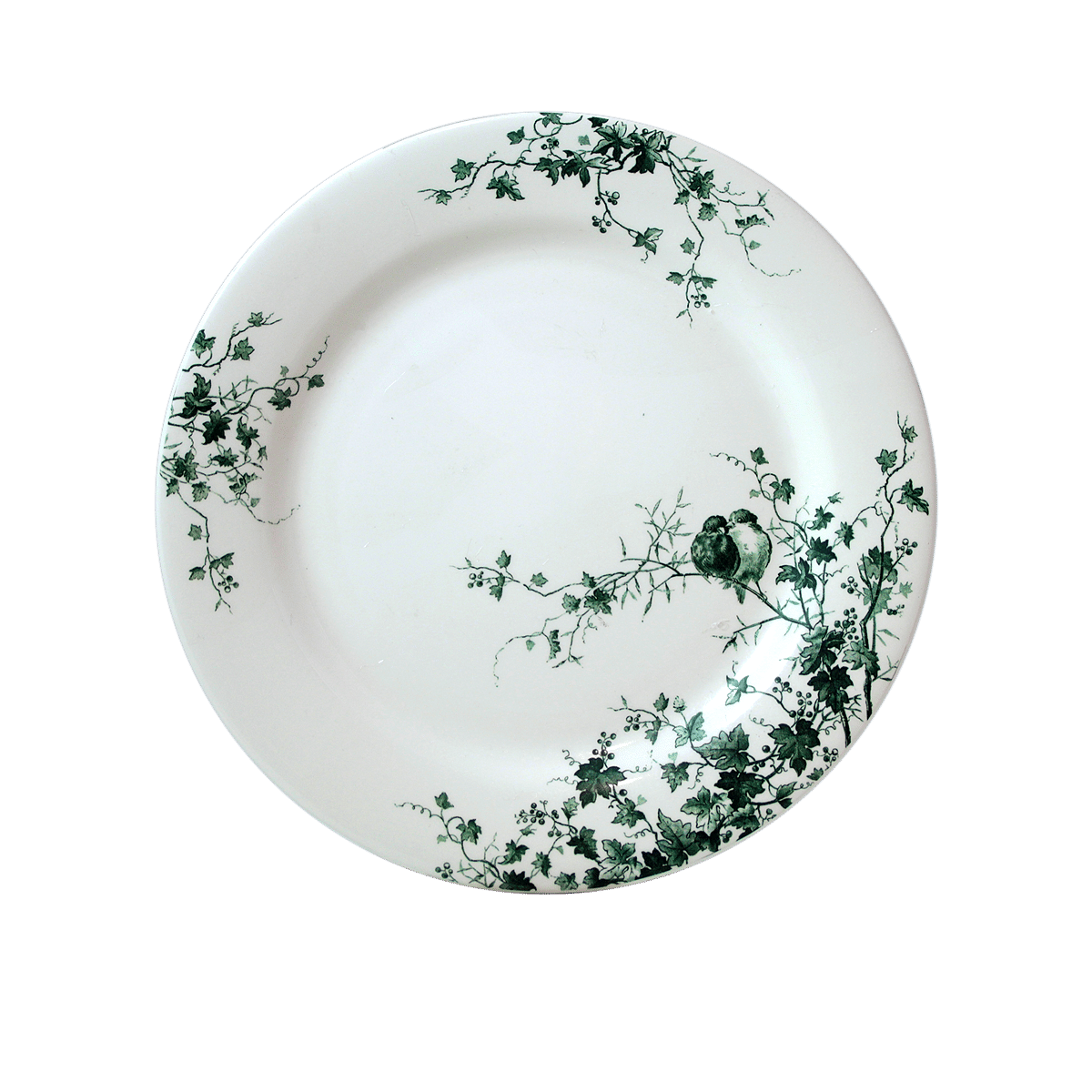 Les Oiseaux Dinner Plate