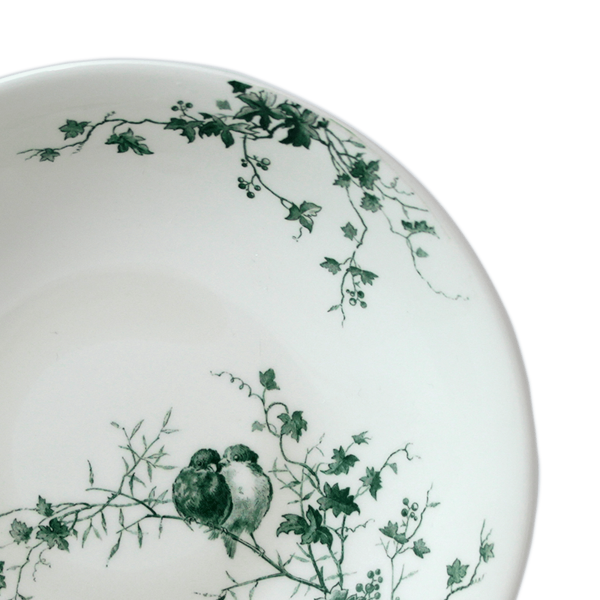 Les Oiseaux Soup/Pasta Plate