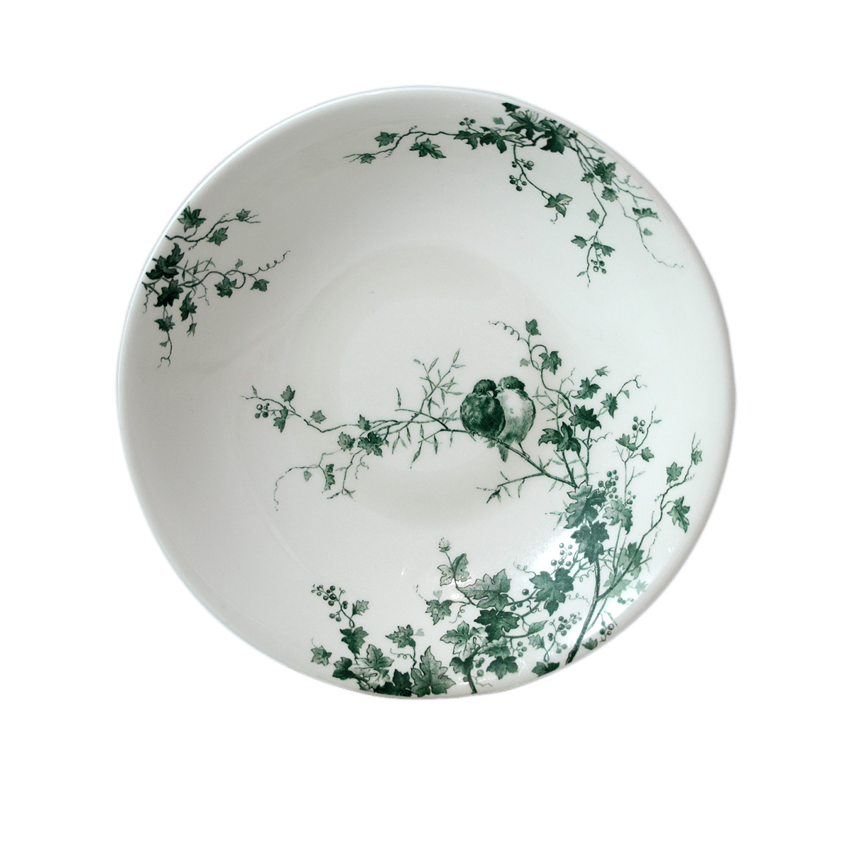 Les Oiseaux Soup/Pasta Plate