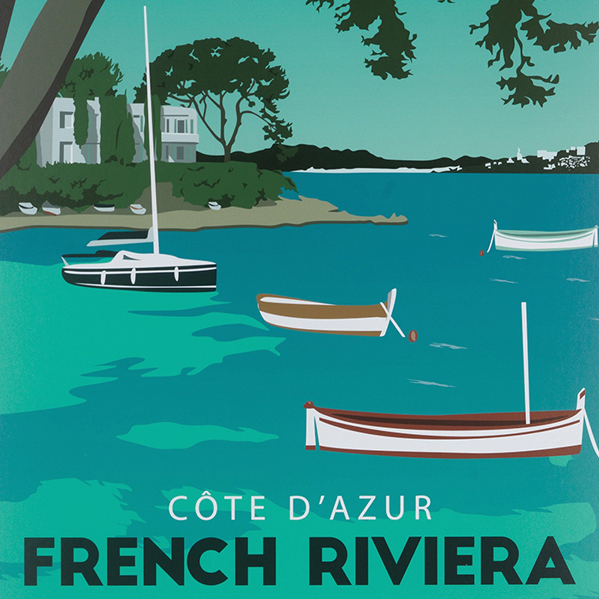 Bougainvillea Cote D'Azur - French Riviera