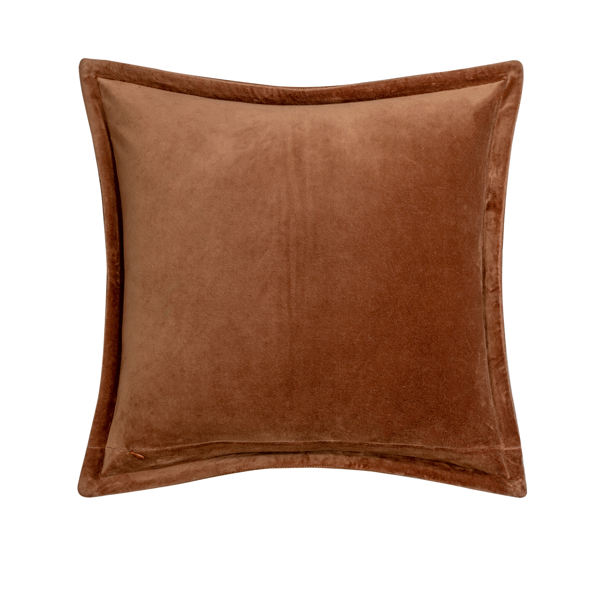 Avira Tussar Silk Decorative Cushion