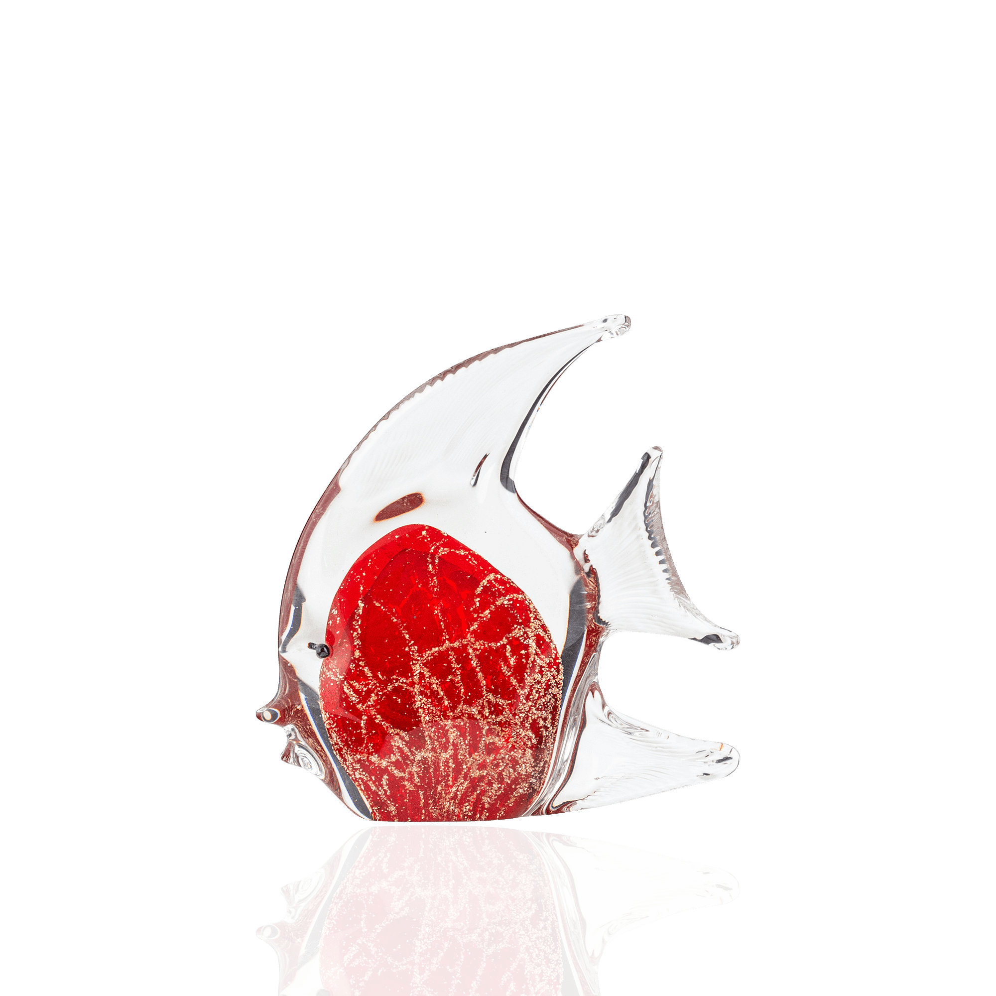 Iridesce Angelfish