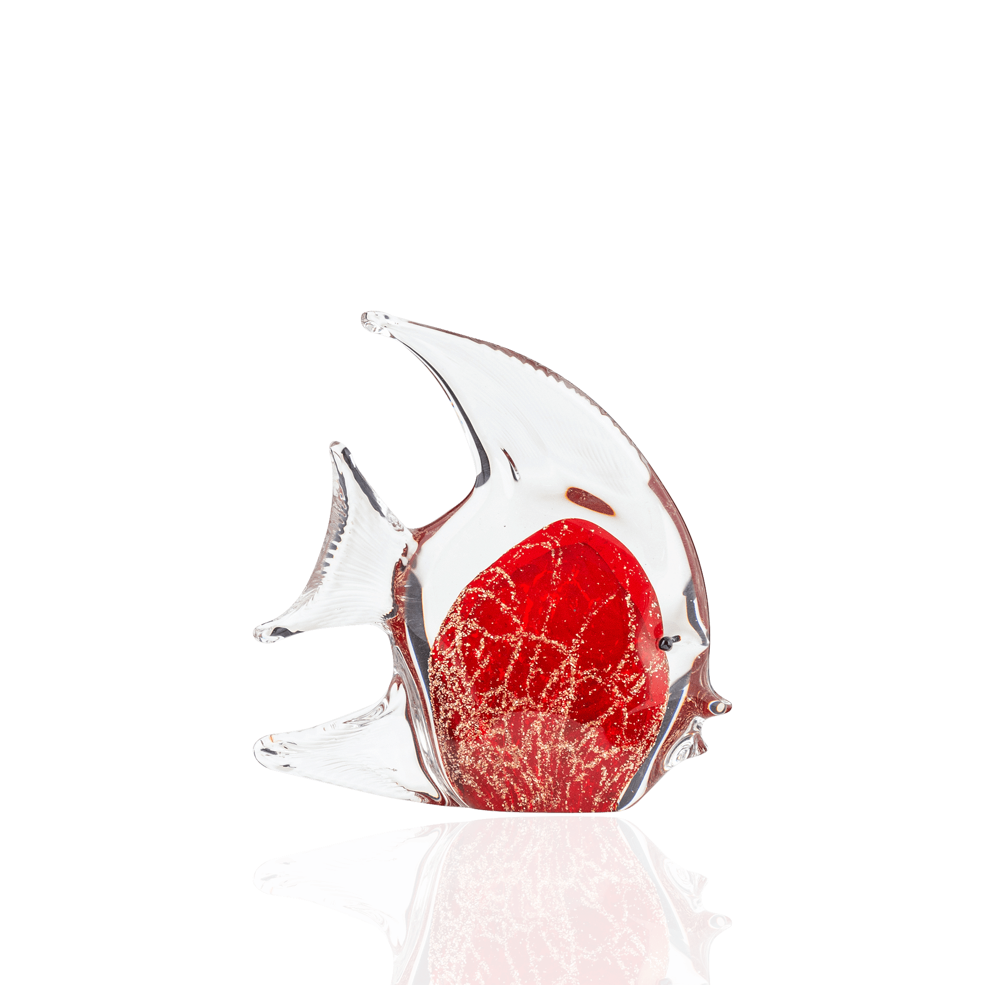 Iridesce Angelfish