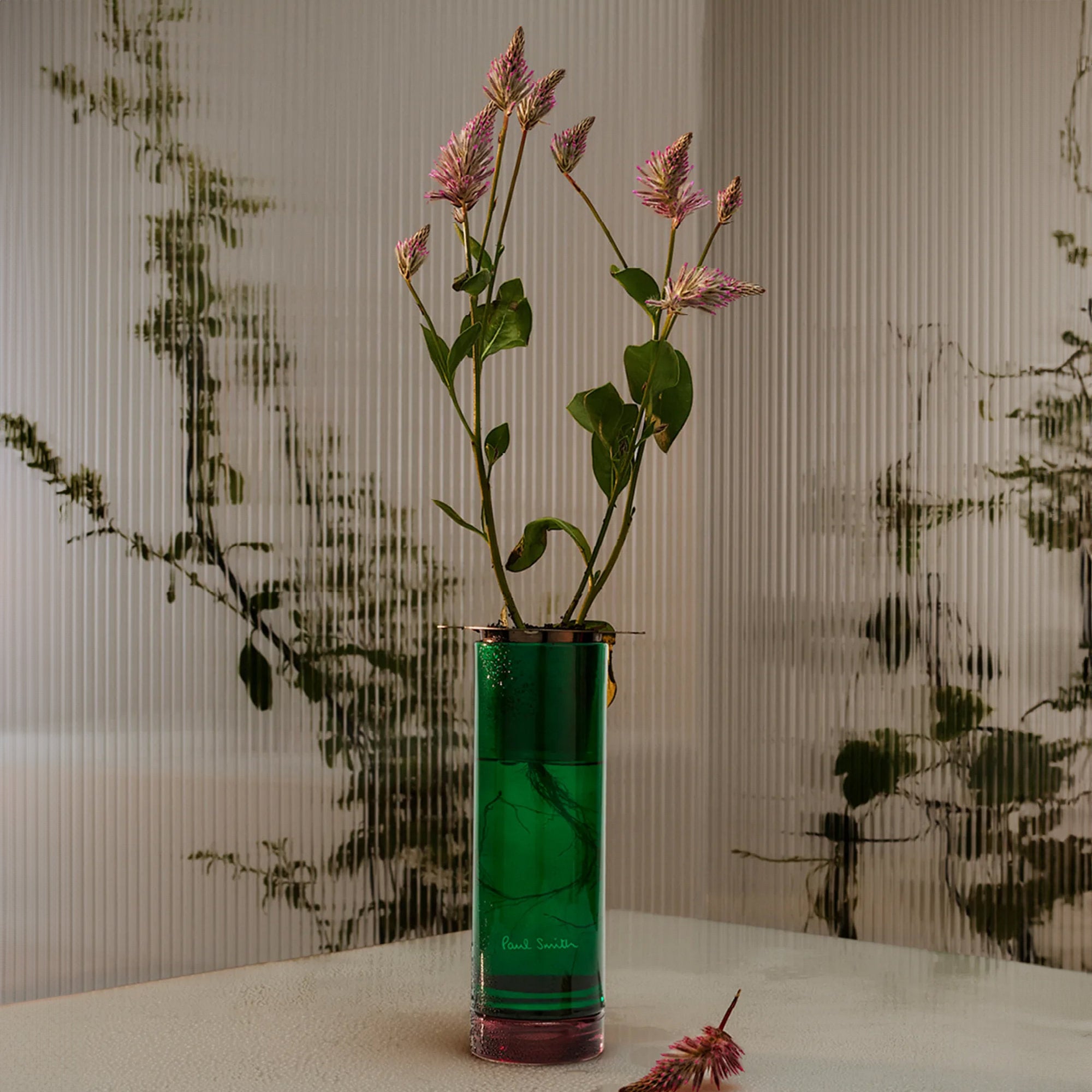 Botanist Reed Diffuser