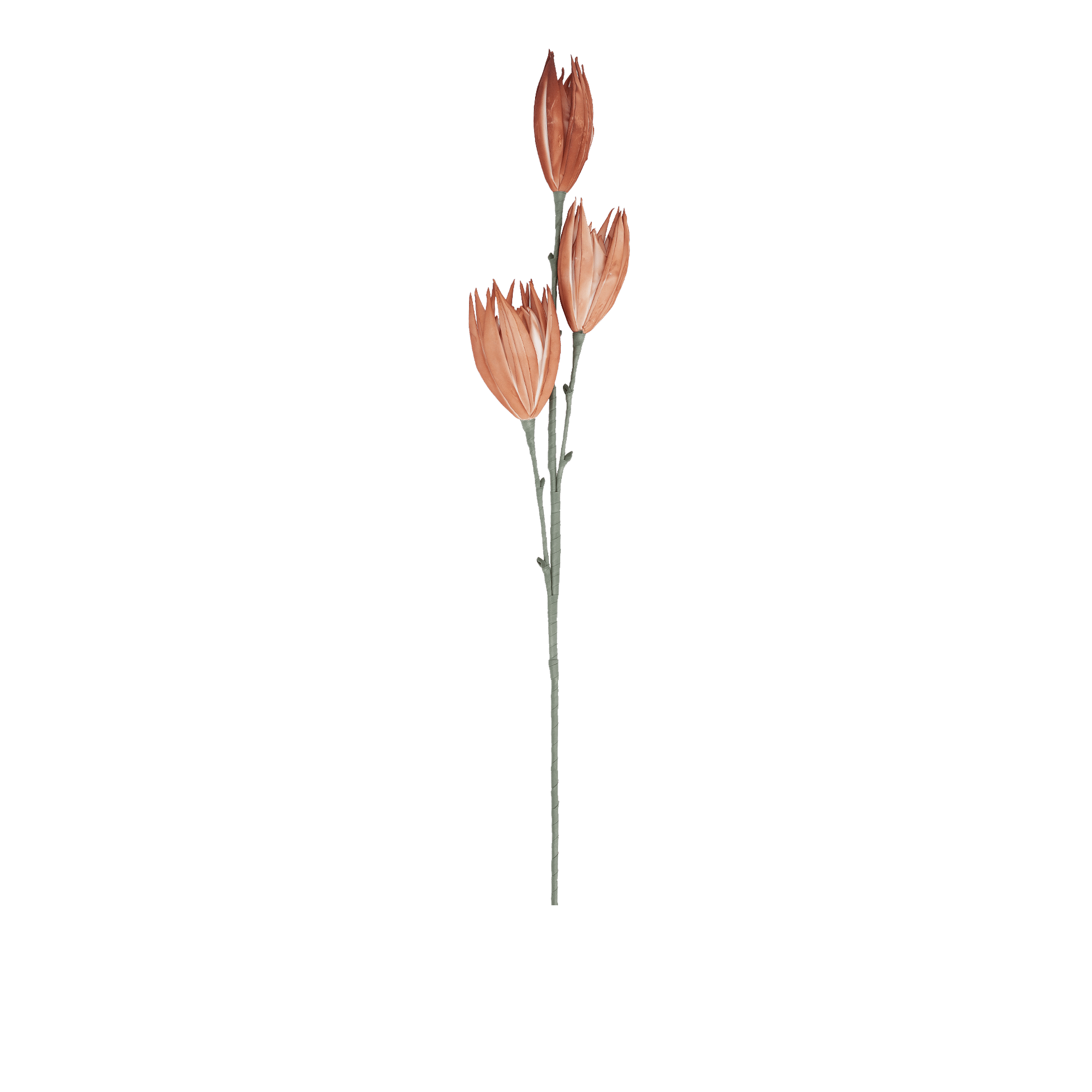 Citron Flower Spray