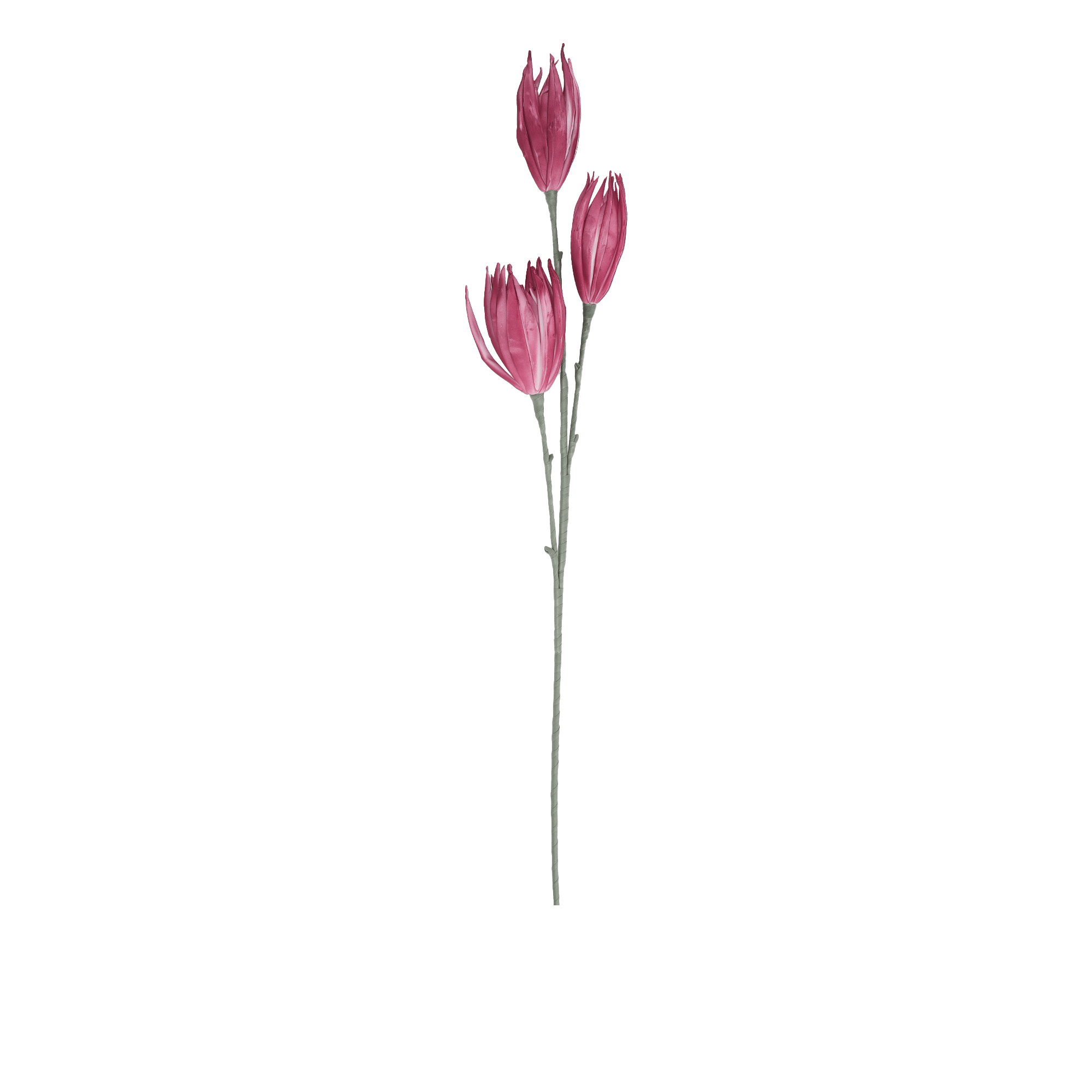 Citron Flower Spray