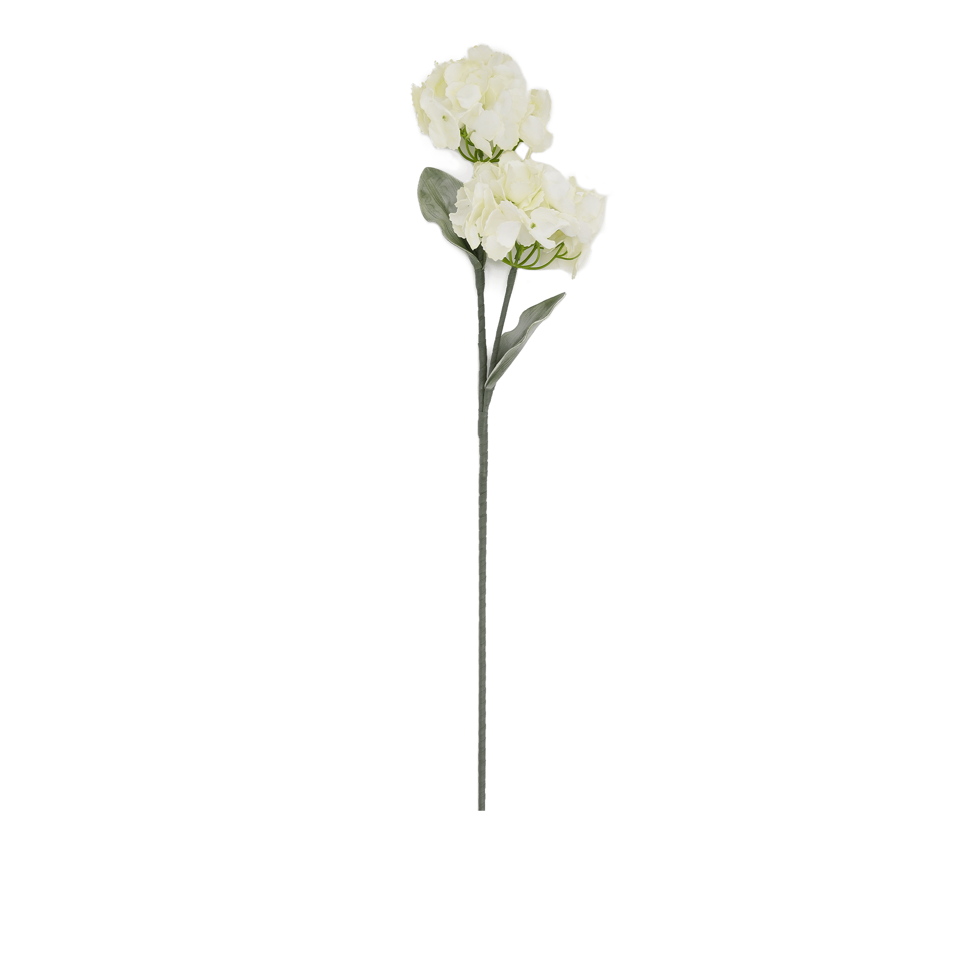 Hydrangea Spray