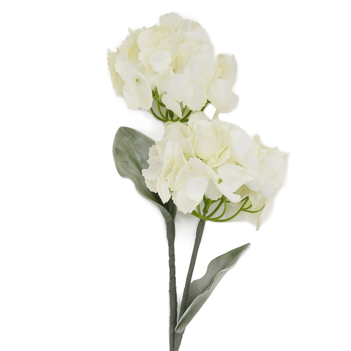 Hydrangea Spray