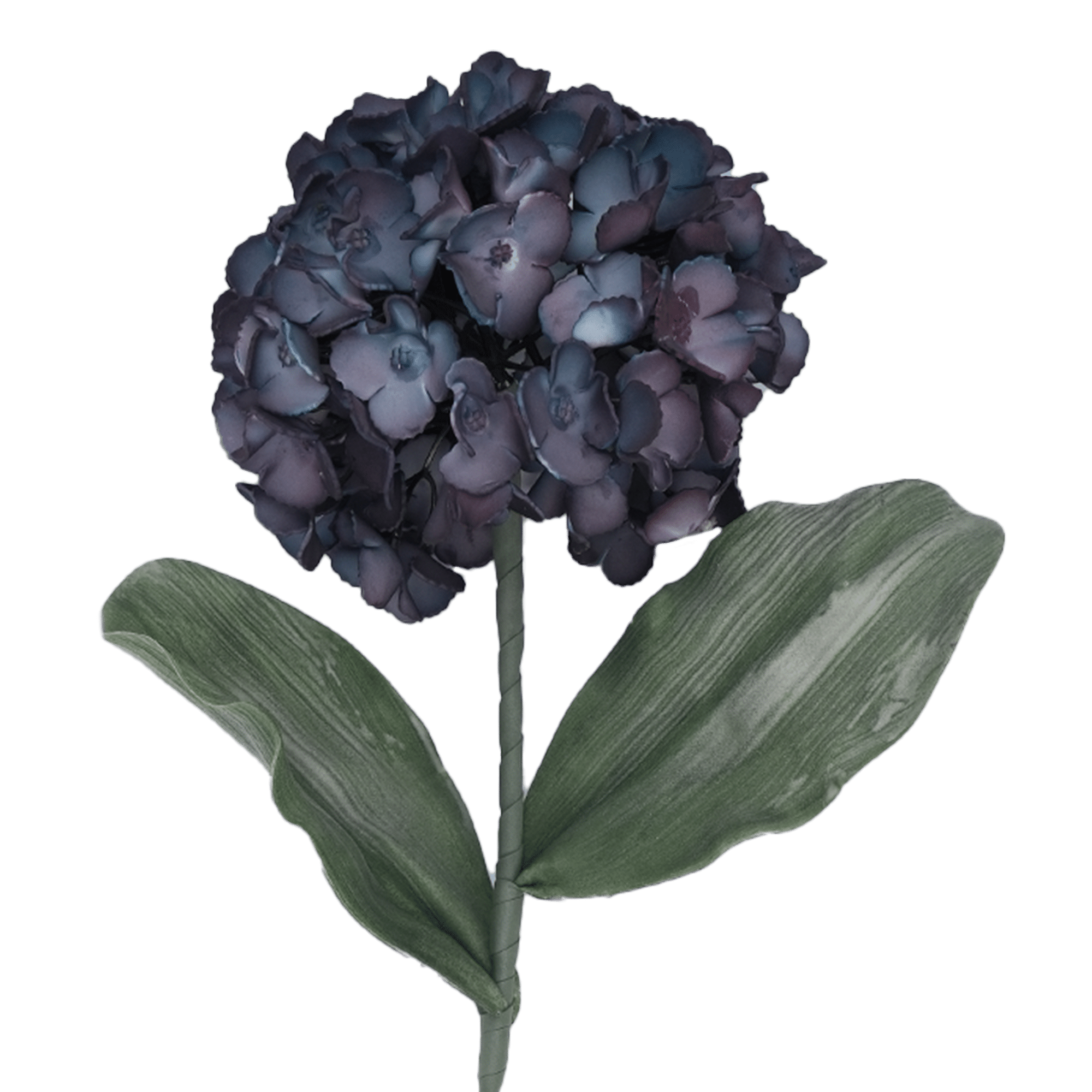 /R/I/RI009091_1.png