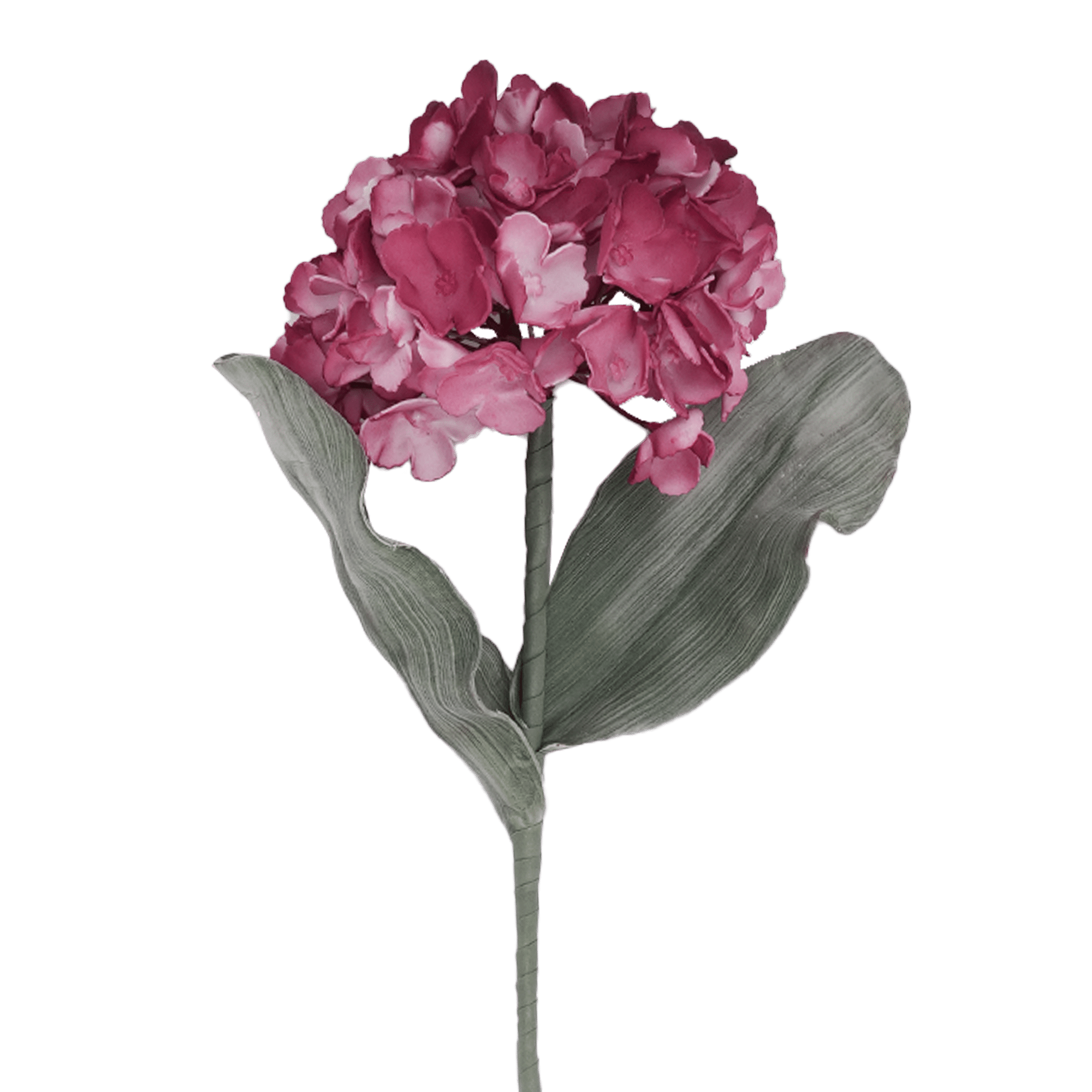 /R/I/RI009092_1.png