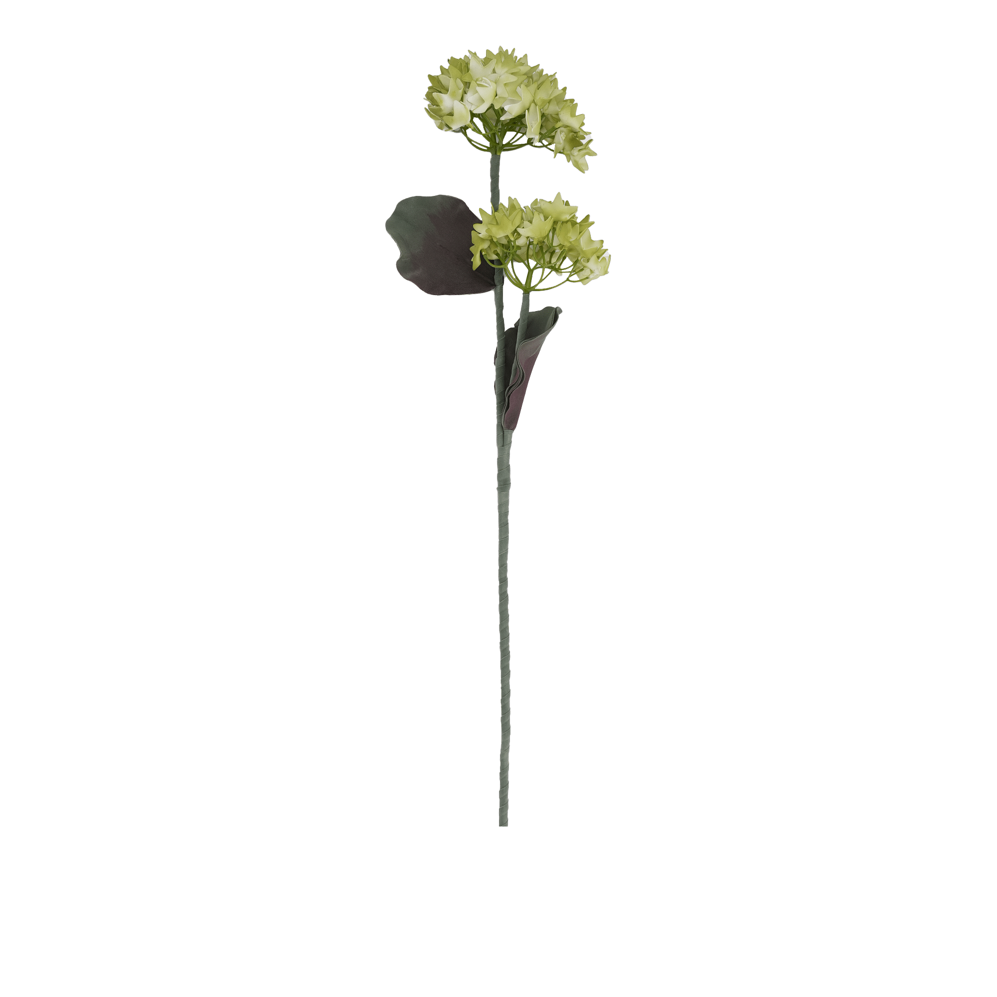 Hydrangea Spray