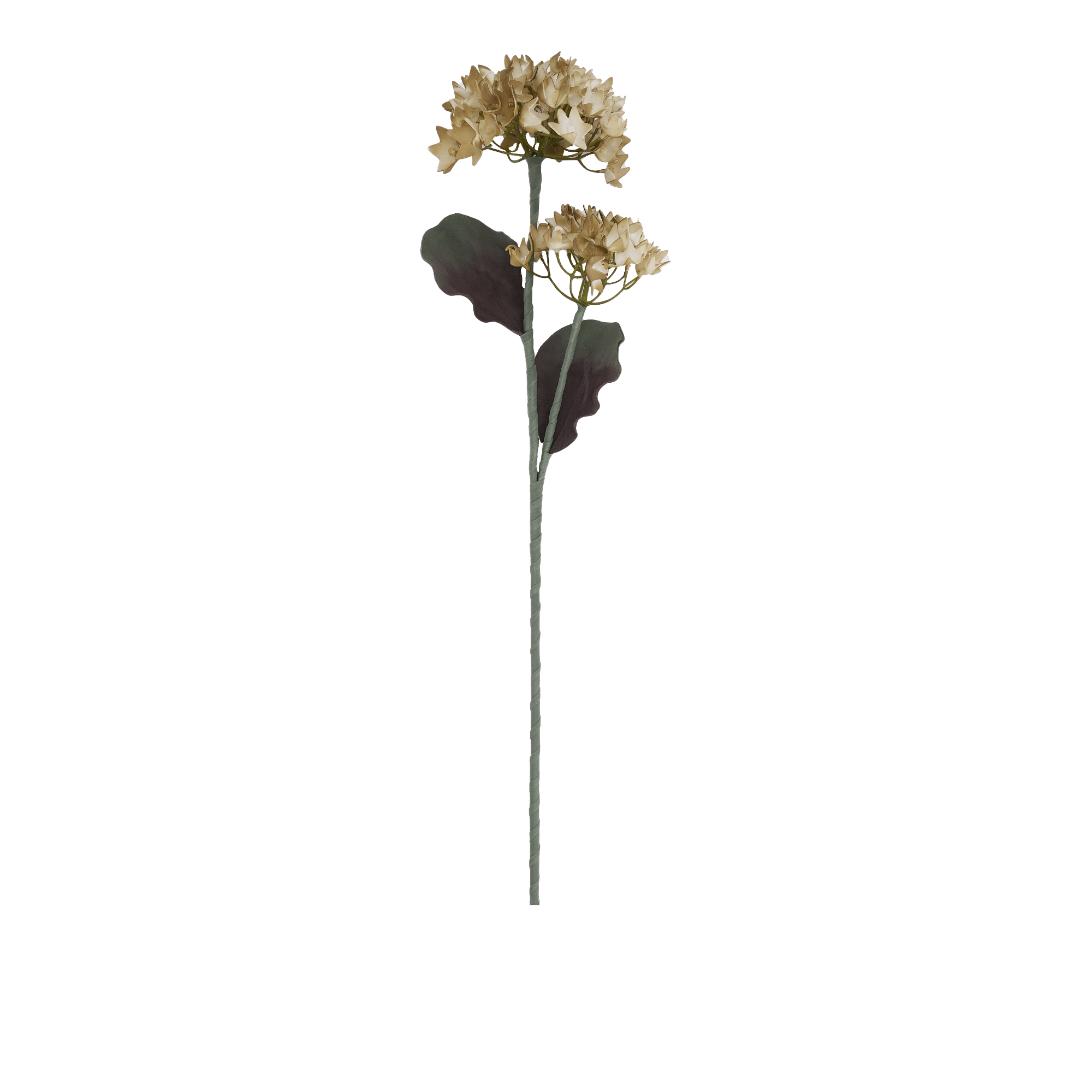 Hydrangea Spray