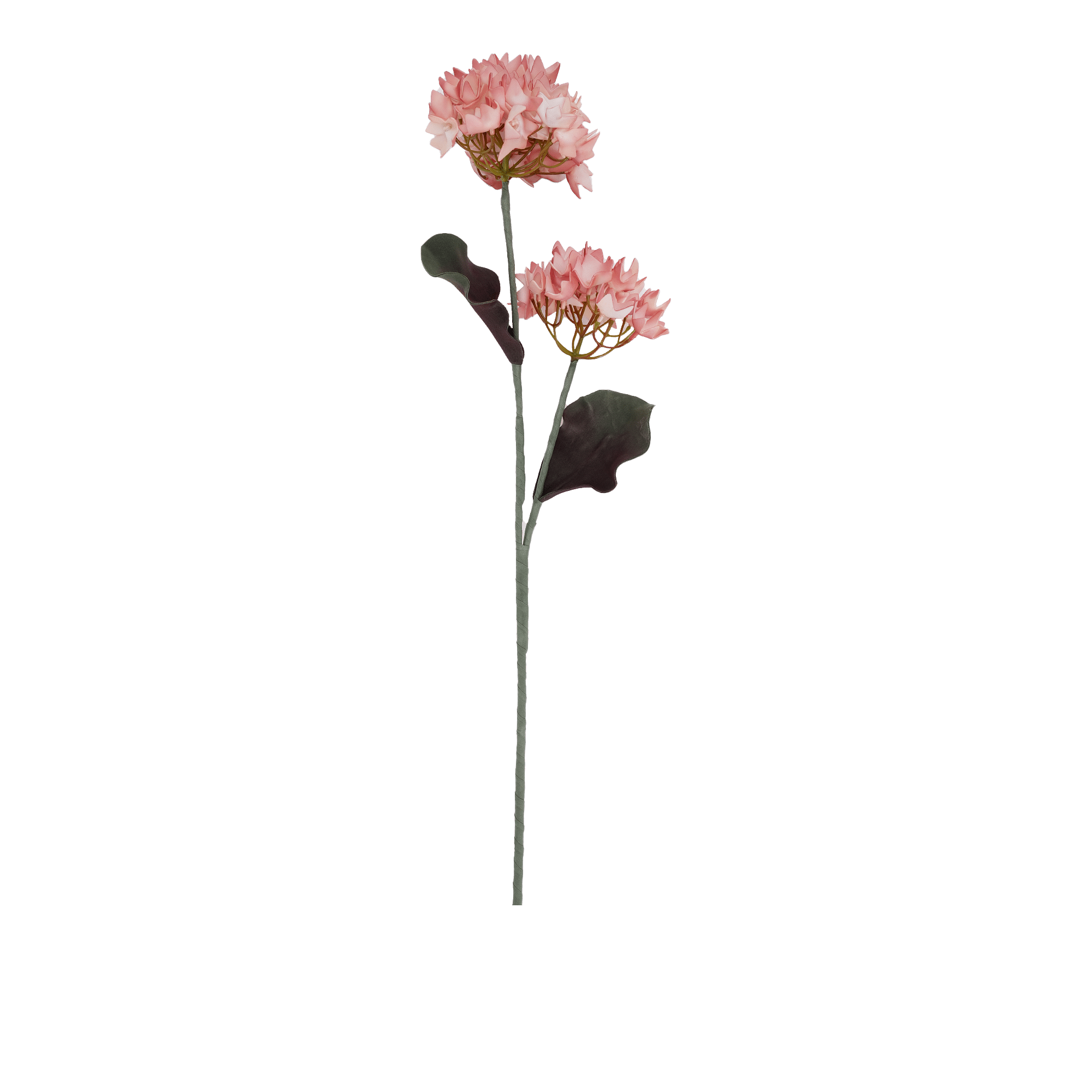 Hydrangea Spray