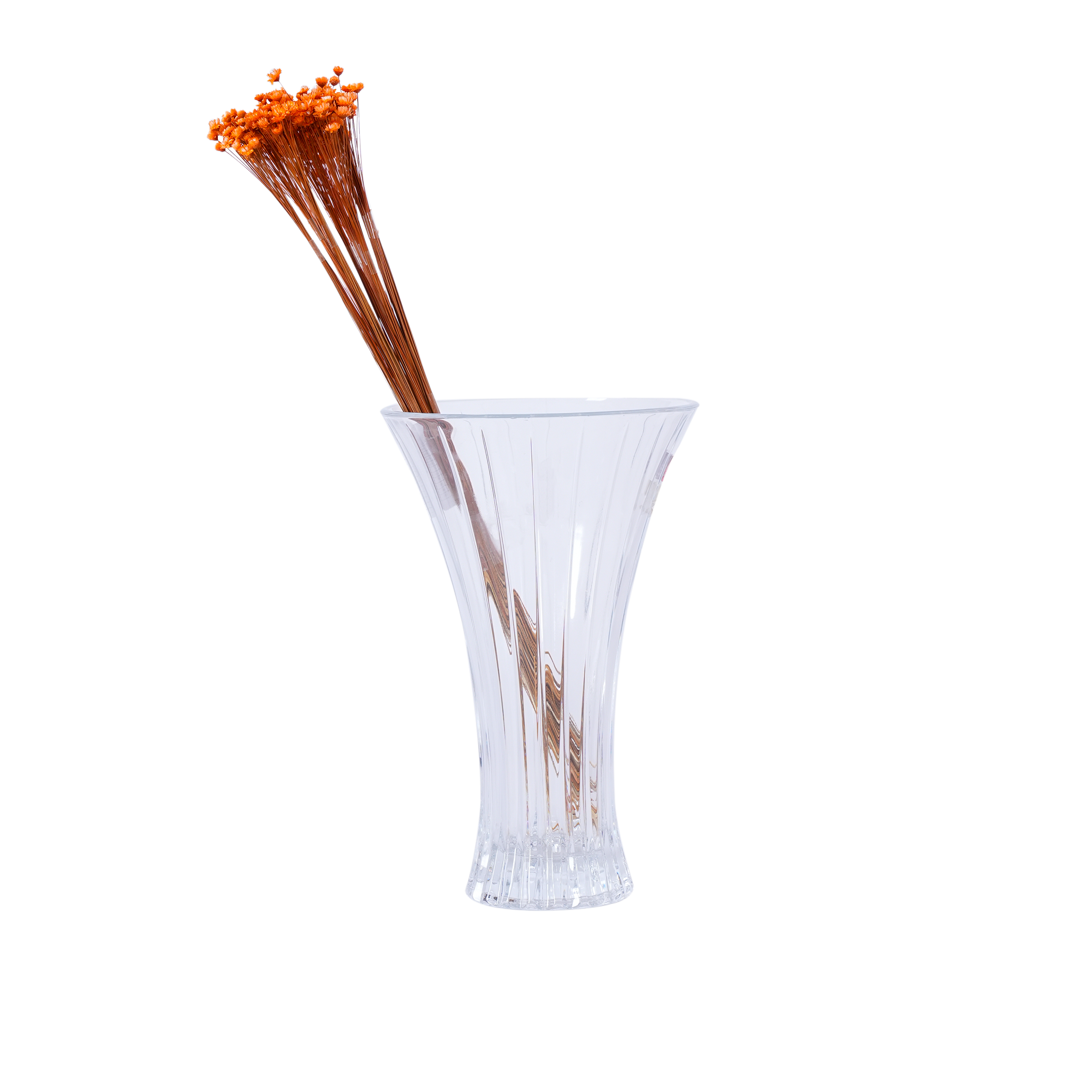 Eriocaulaceae Mikado Dried Botanical