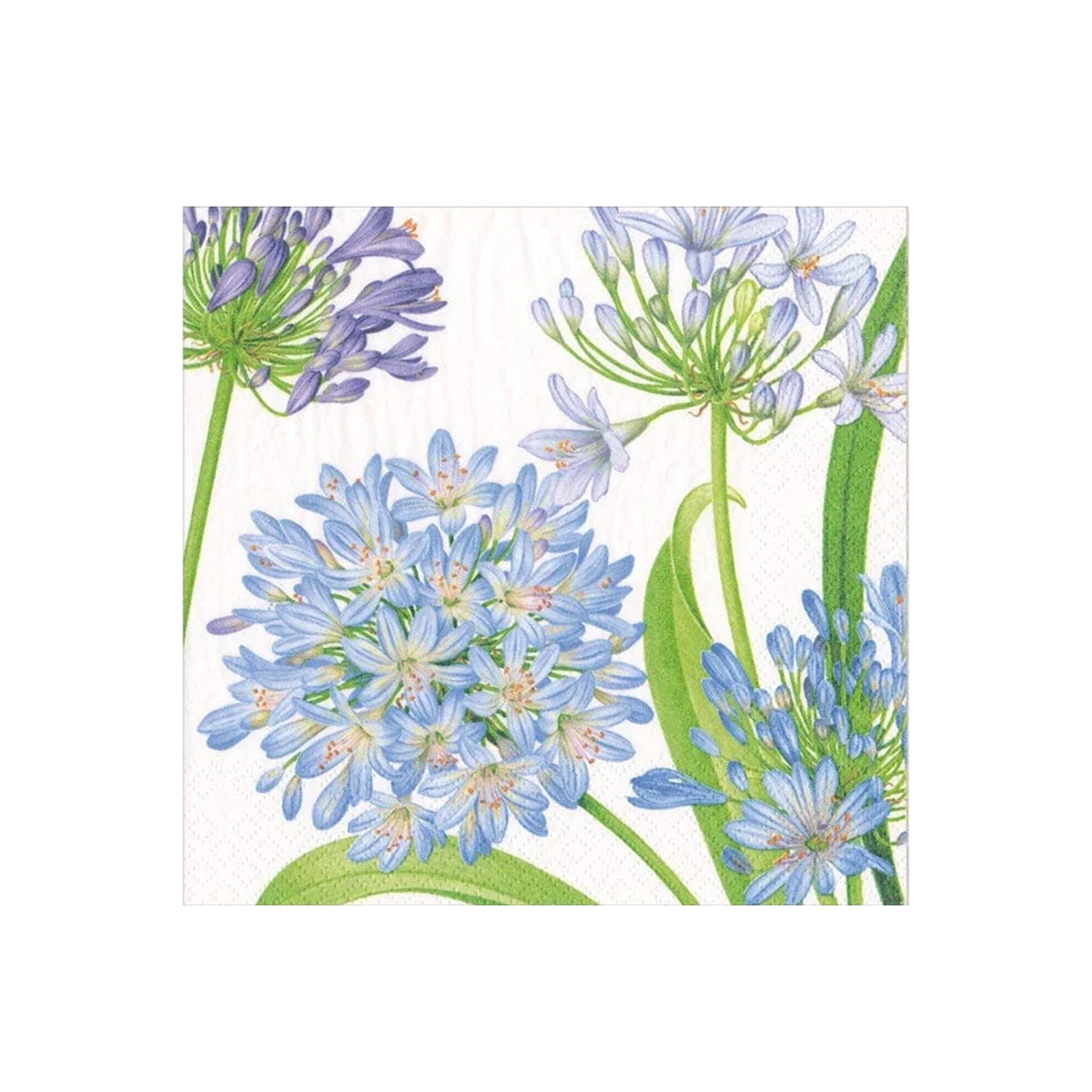 Agapanthus Garden Paper Napkins