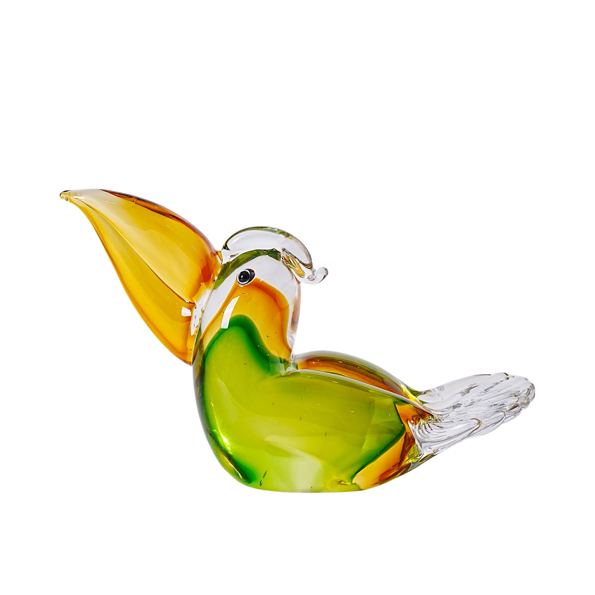 Toucan Bird