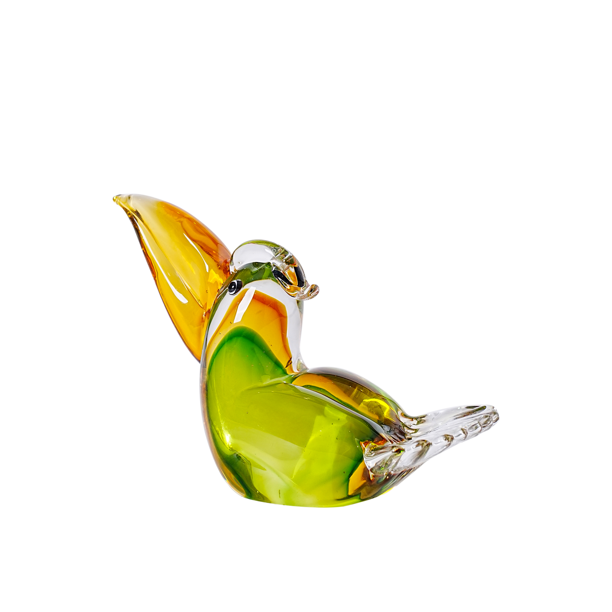 Toucan Bird