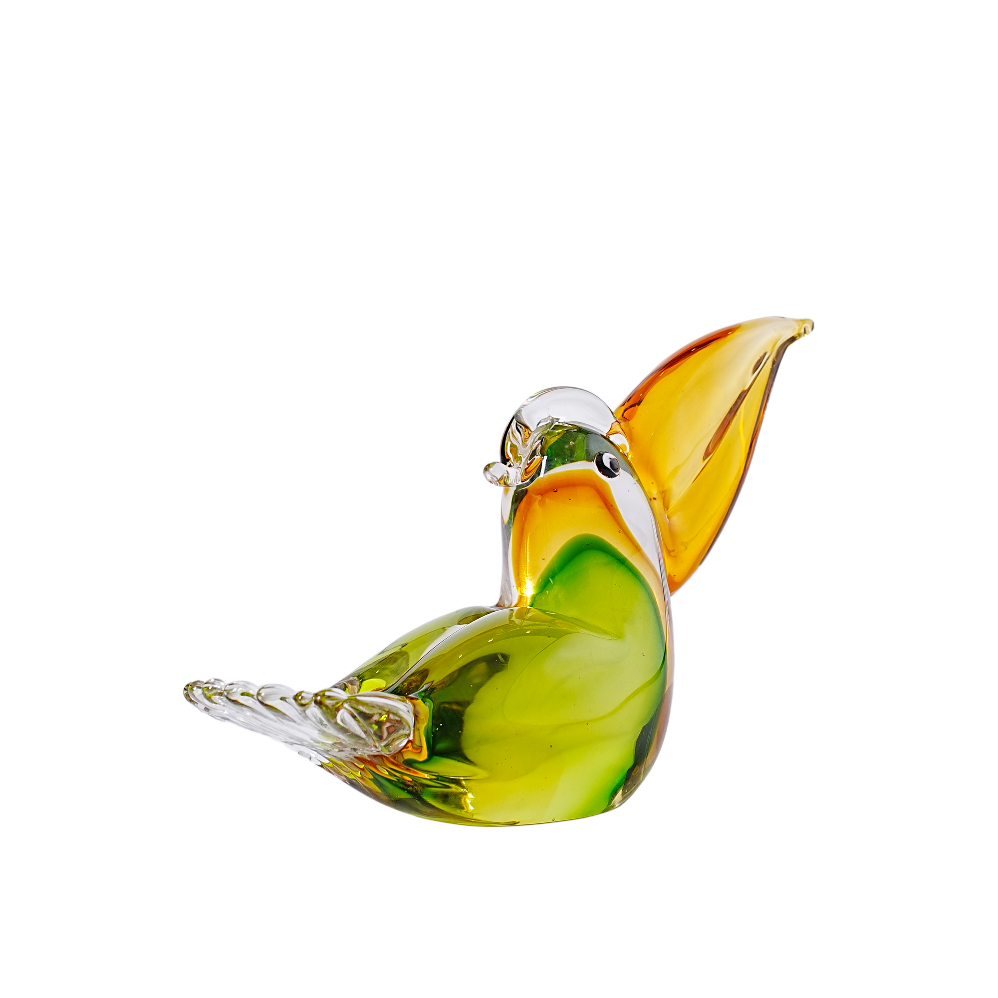 Toucan Bird