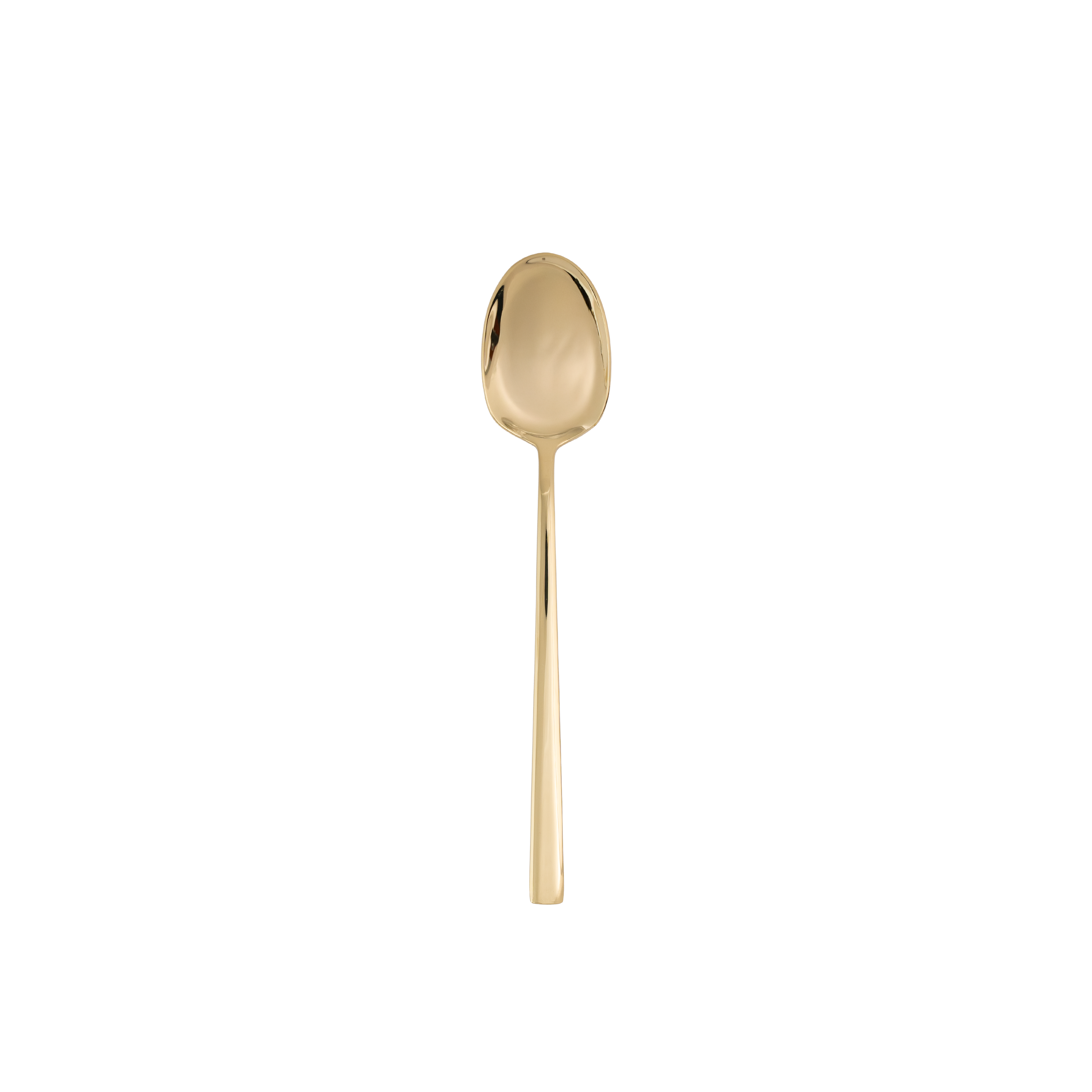 Touch Dinner Spoon