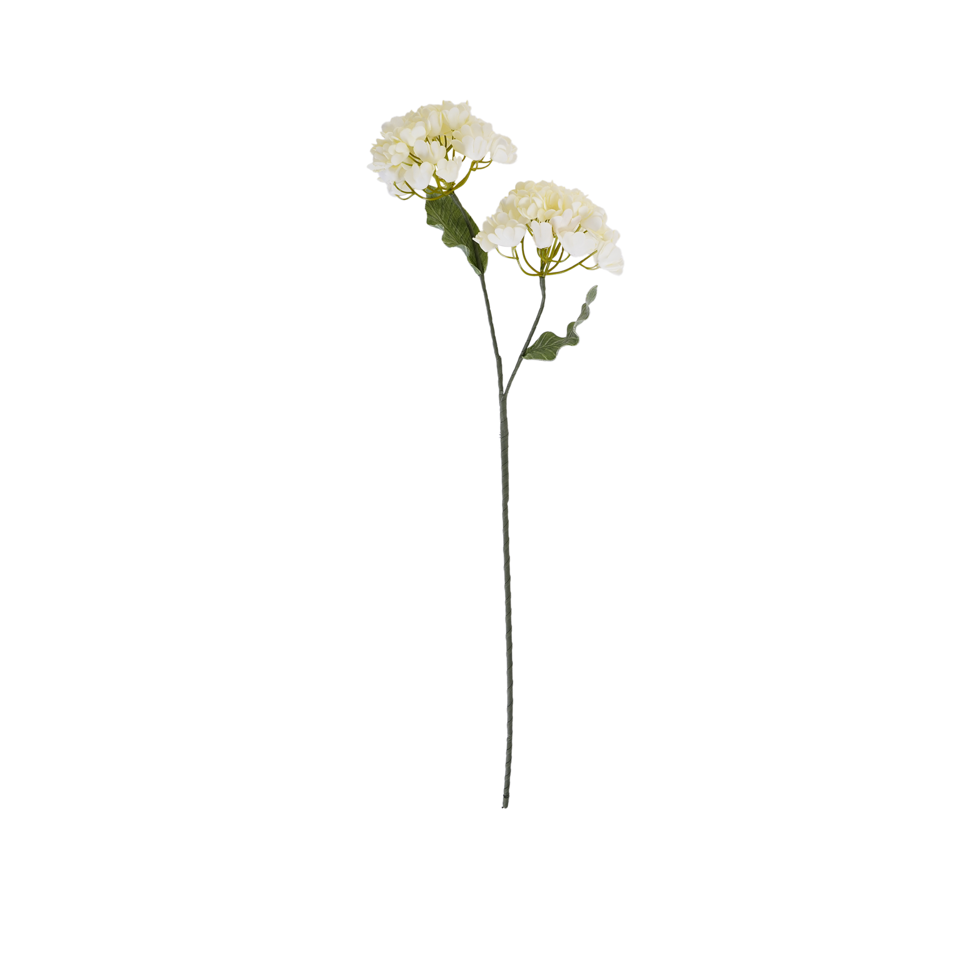 Hydrangea Spray
