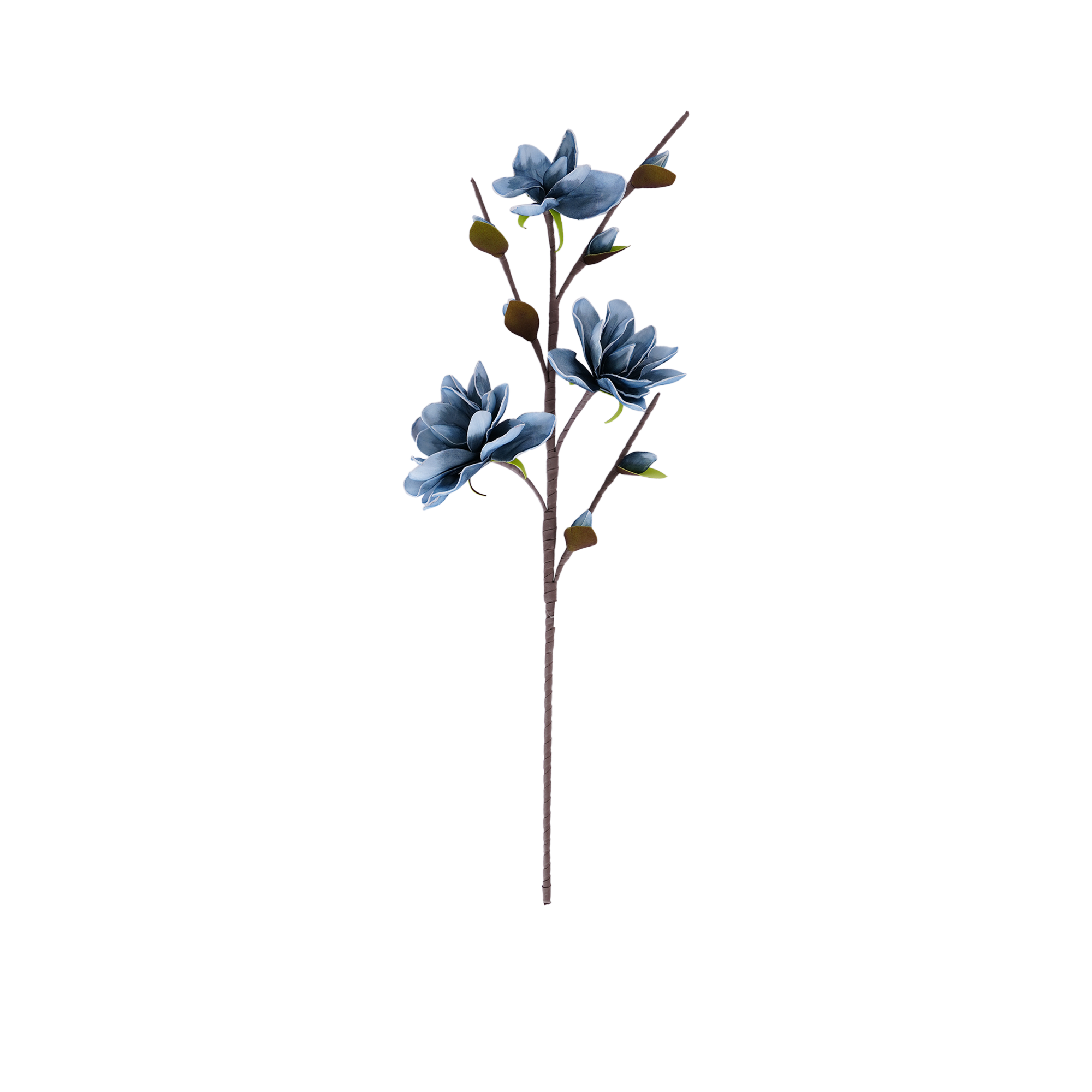 Yulan Magnolia Spray