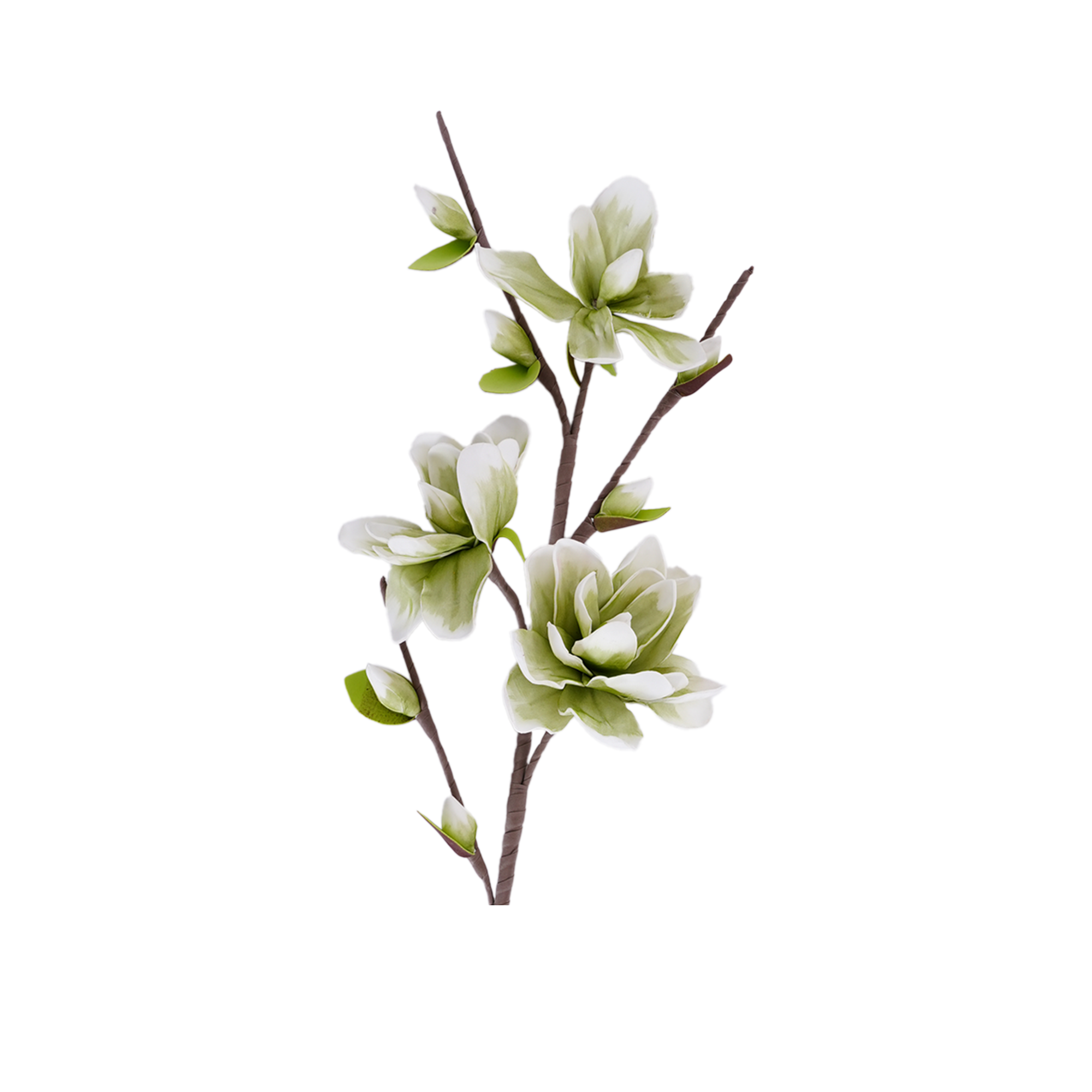 Yulan Magnolia Spray