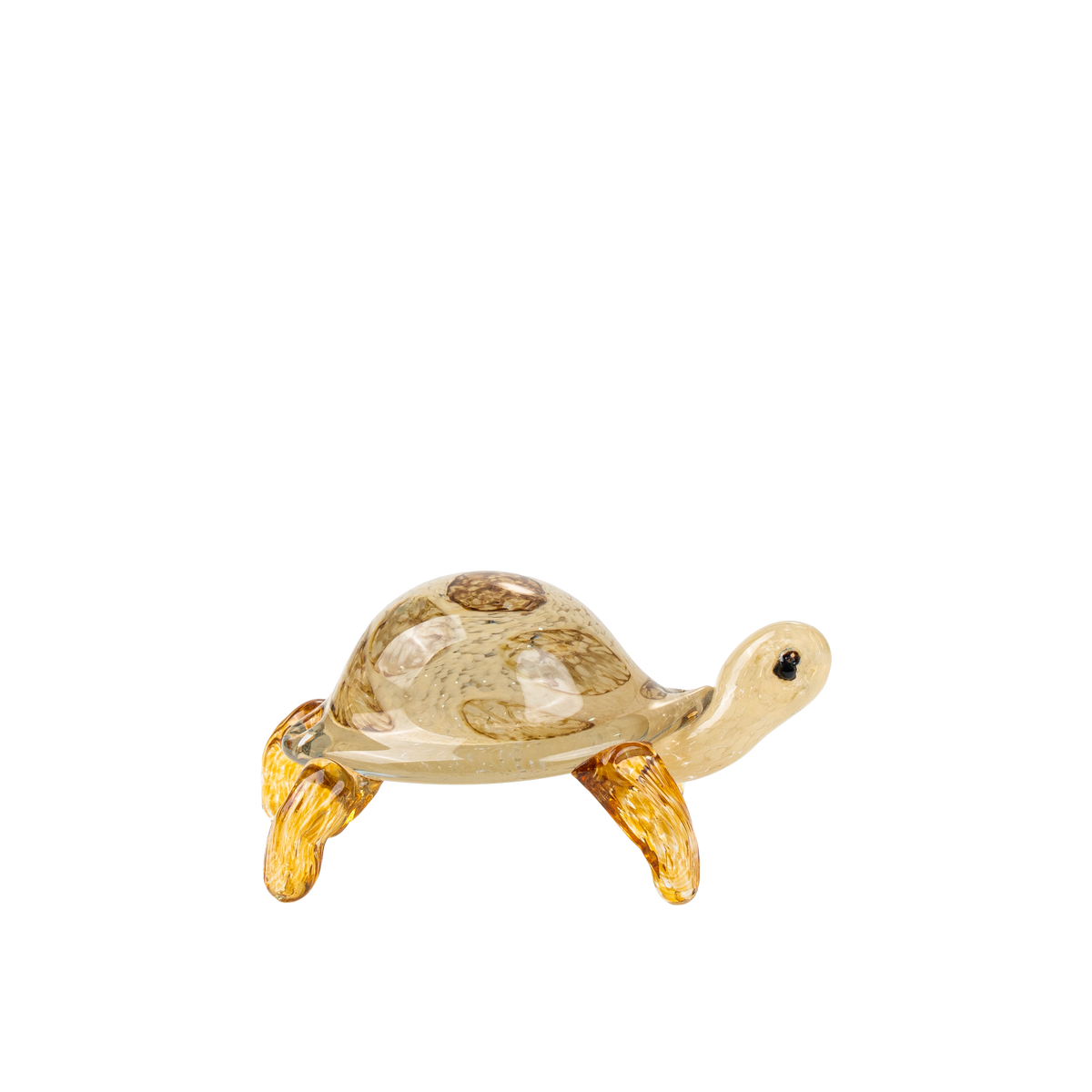 Graeca Tortoise