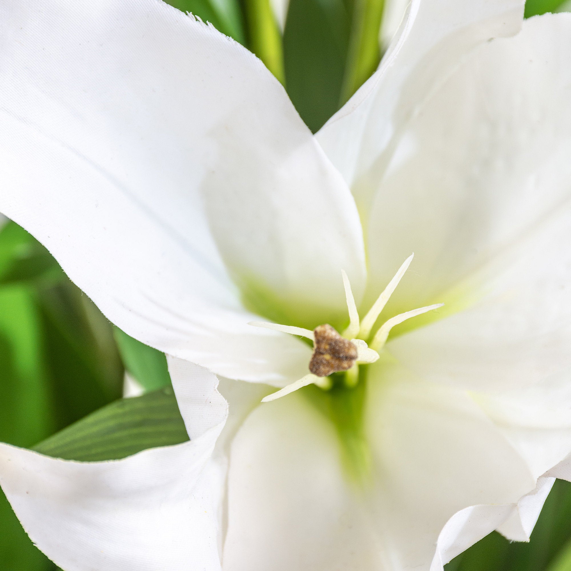 Lily Spray