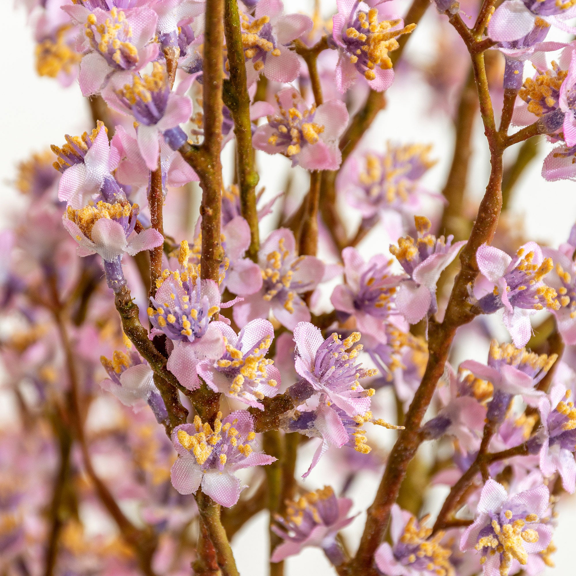 Blossom Spray