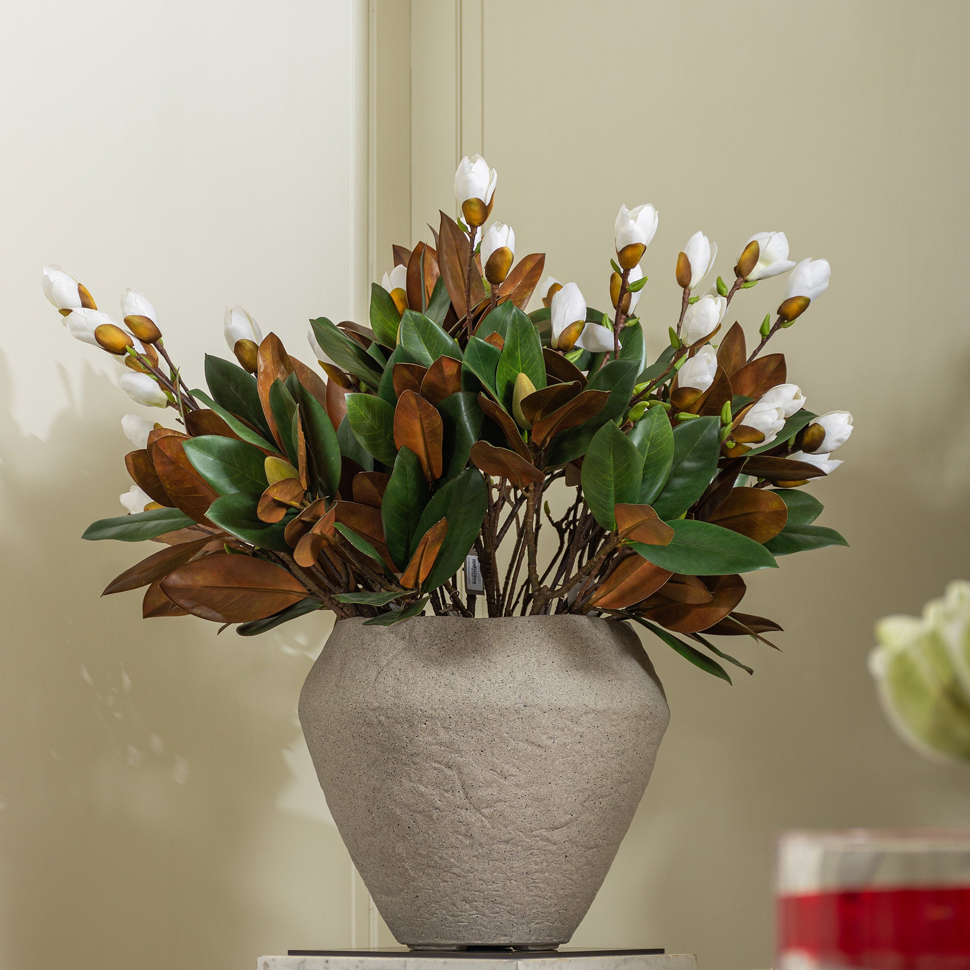 Magnolia Stem