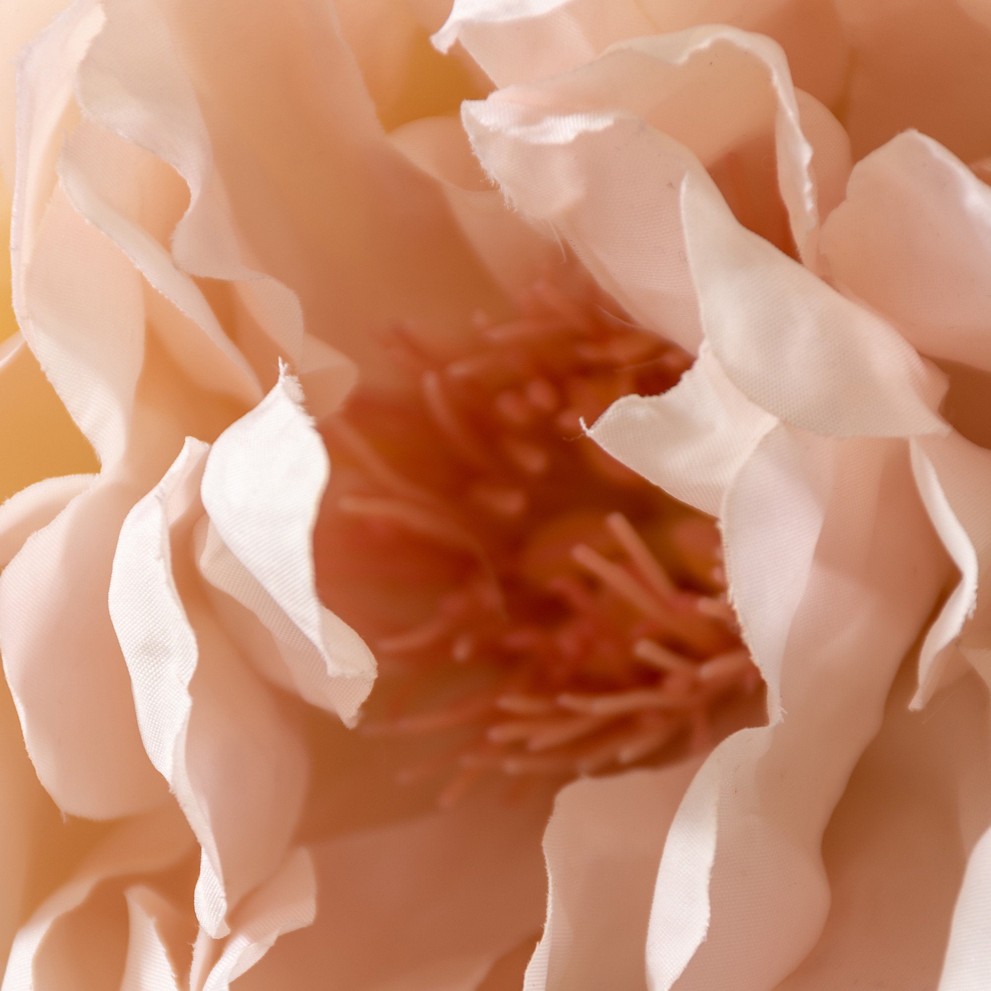 Rose Spray