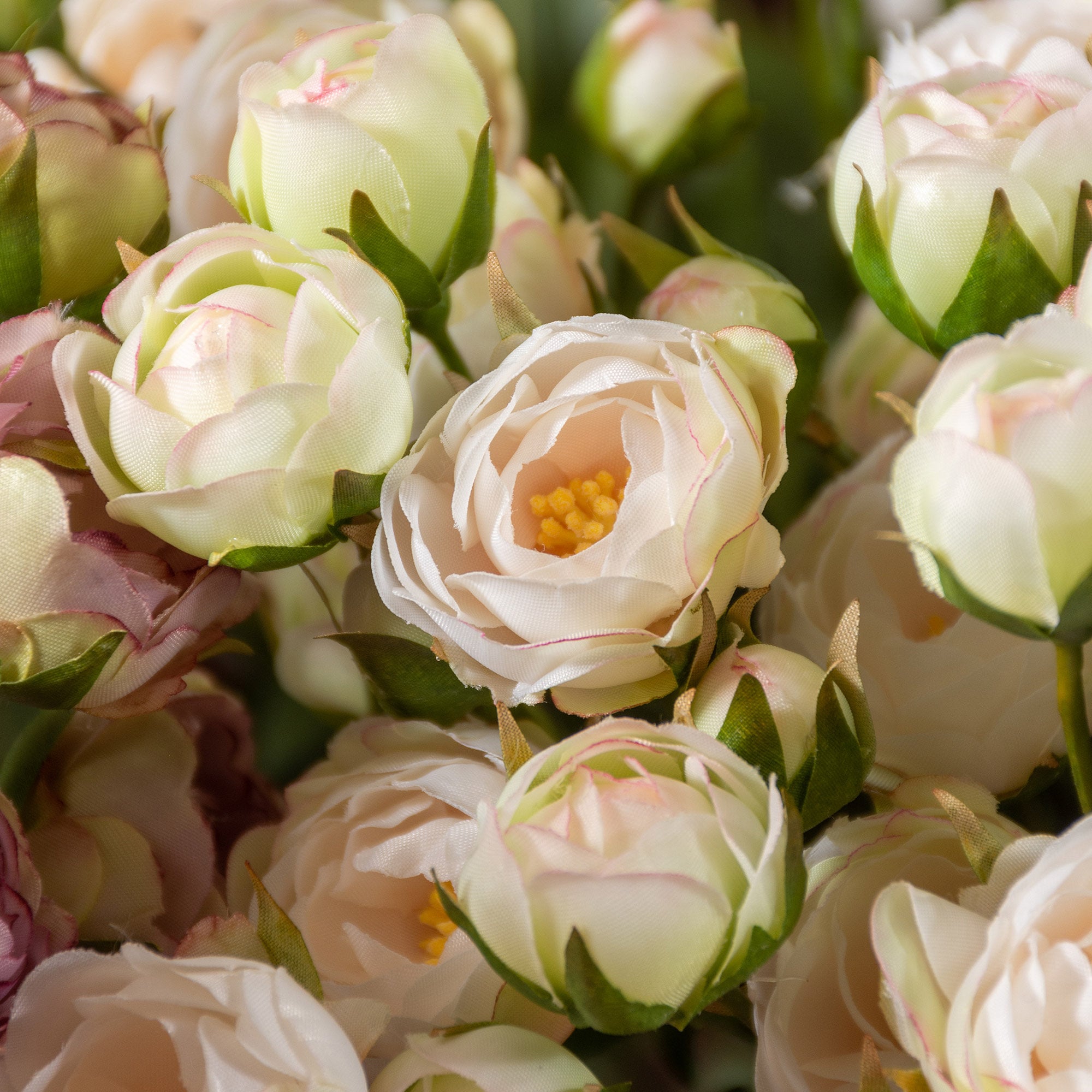 Rose Spray
