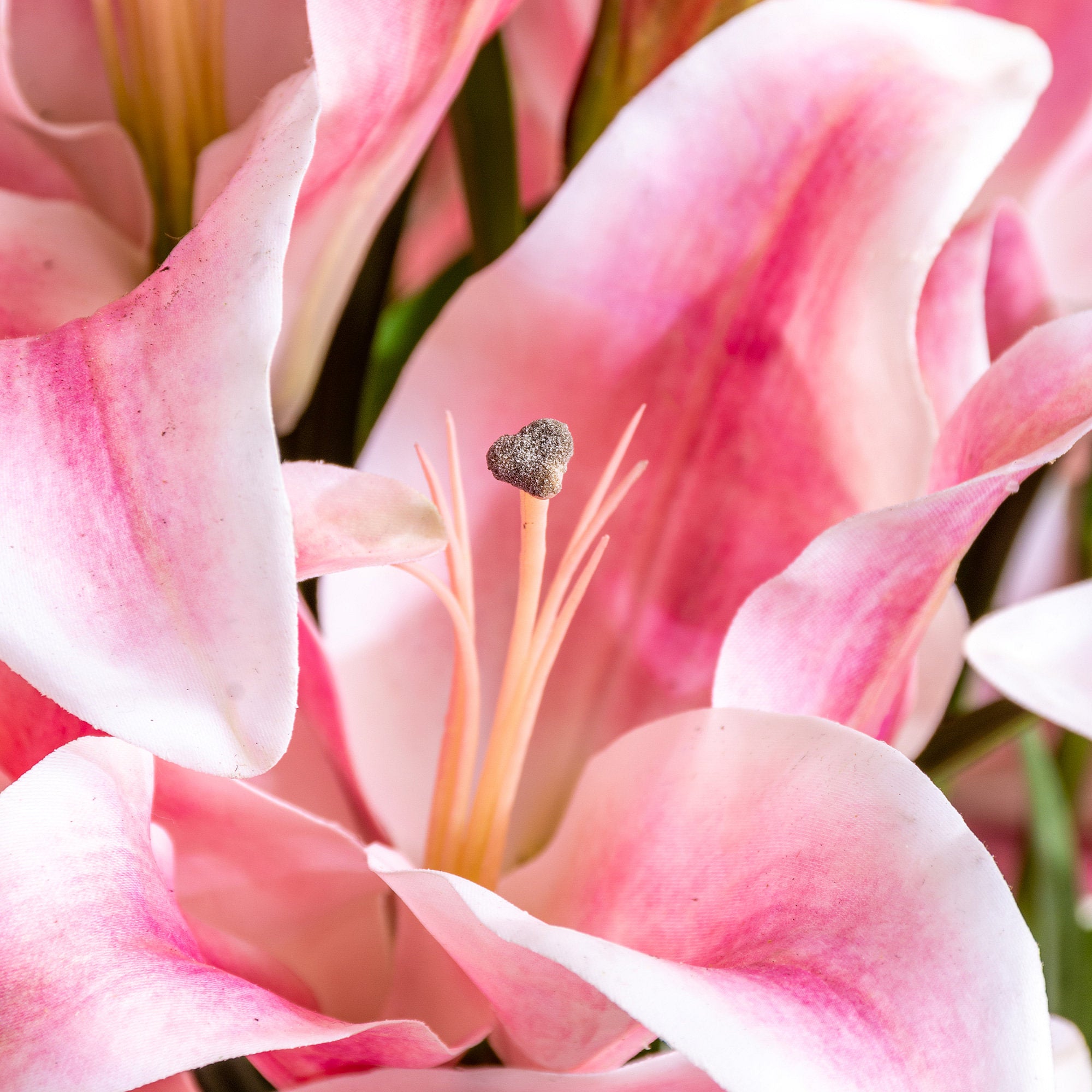 Lily Spray
