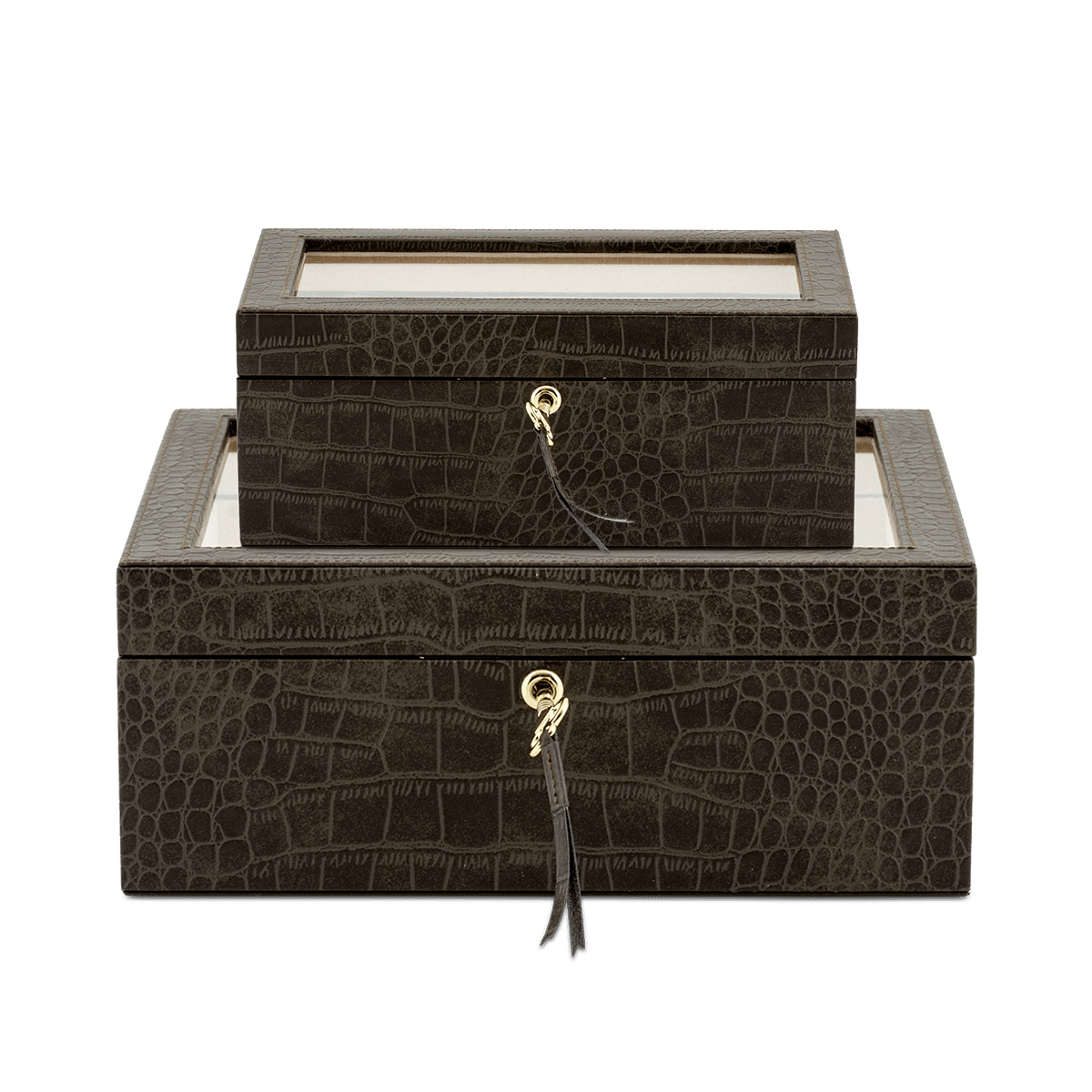 Exotique Watch Box