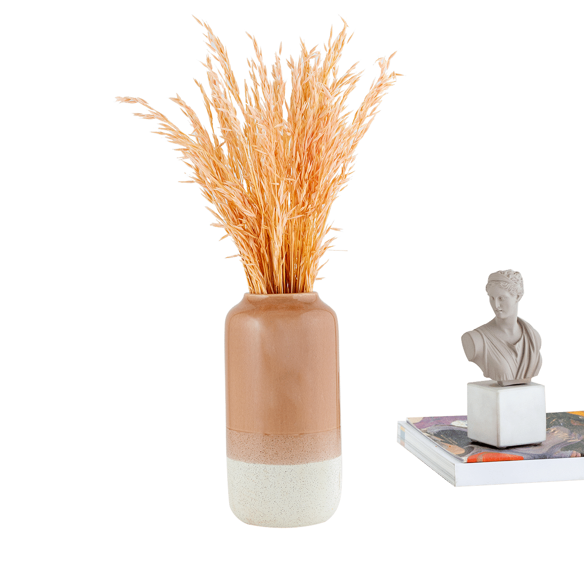 Avoine Dried Botanical