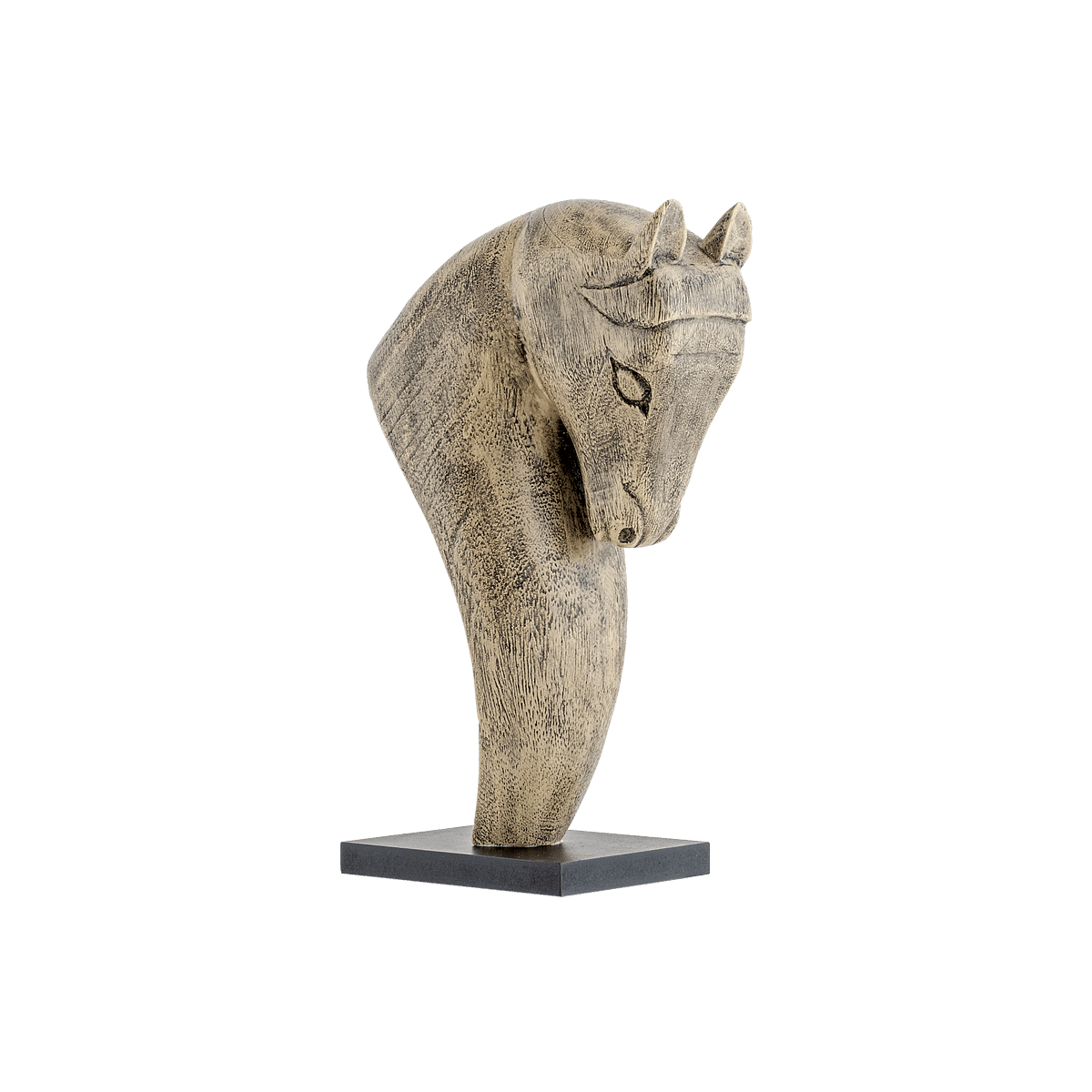 Horse Head