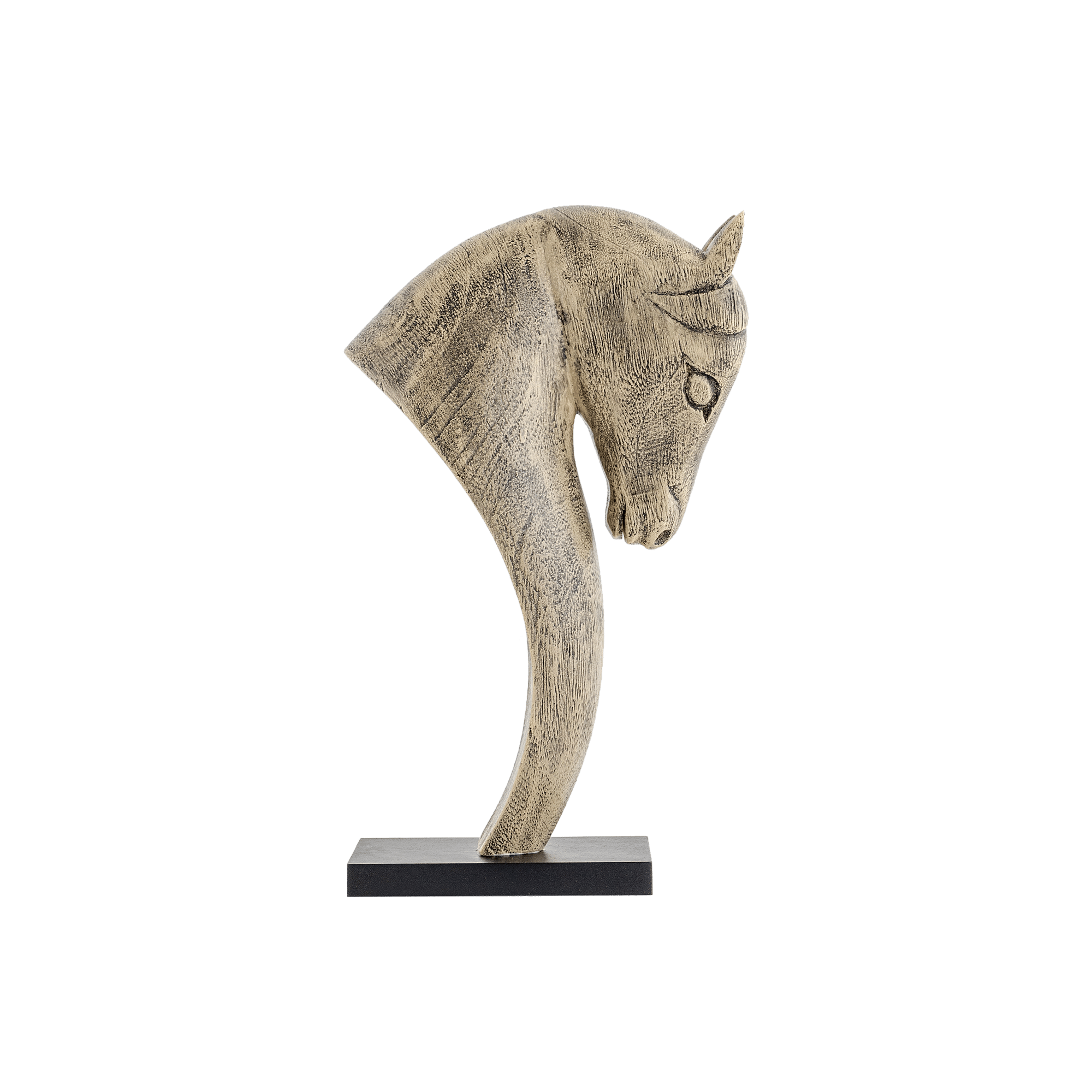Horse Head
