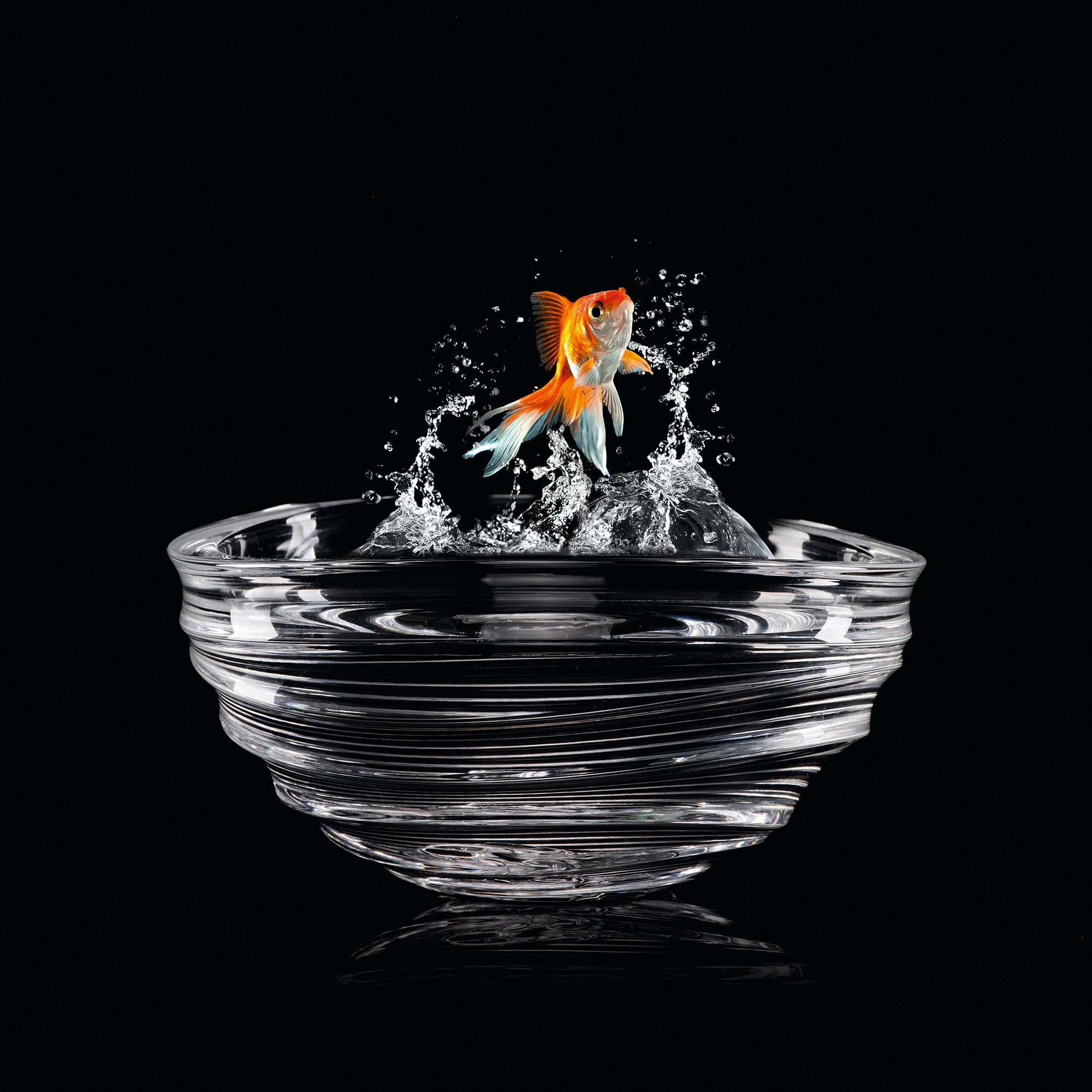 4 Elements Nut Server Water