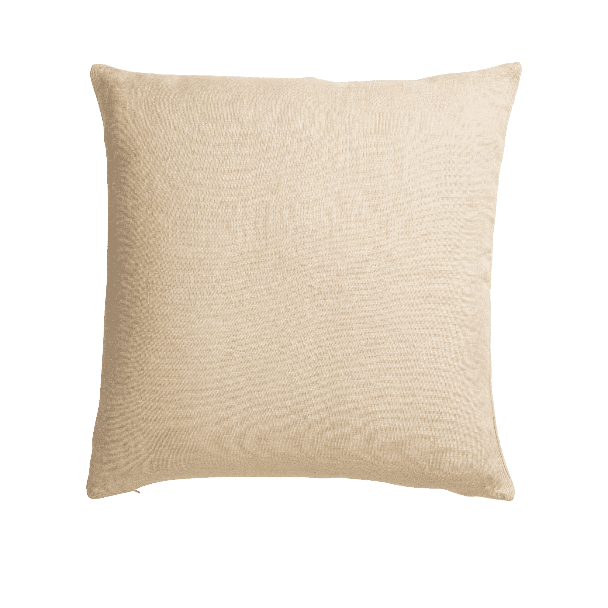 Suzani I Decorative Cushion