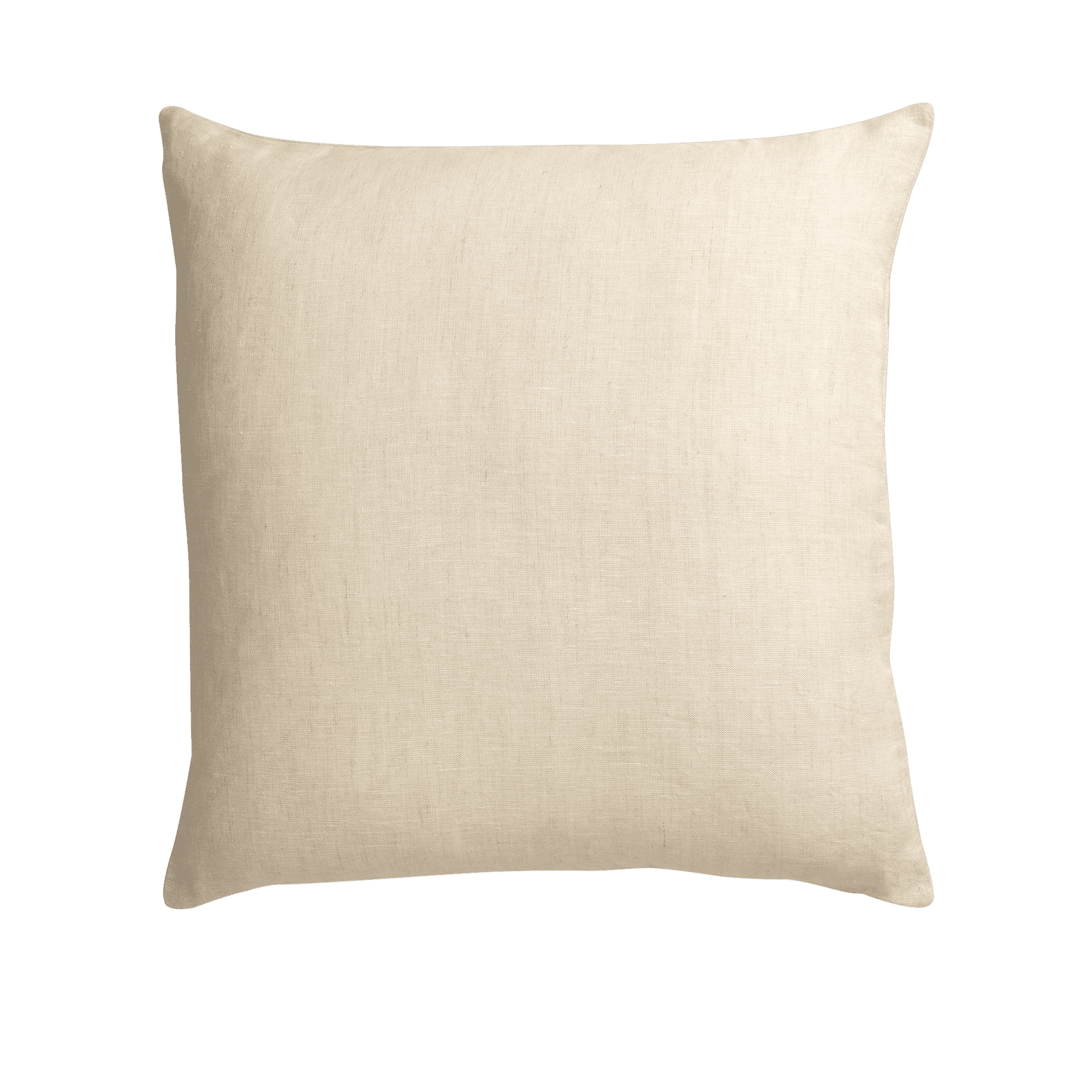 Suzani II Decorative Cushion