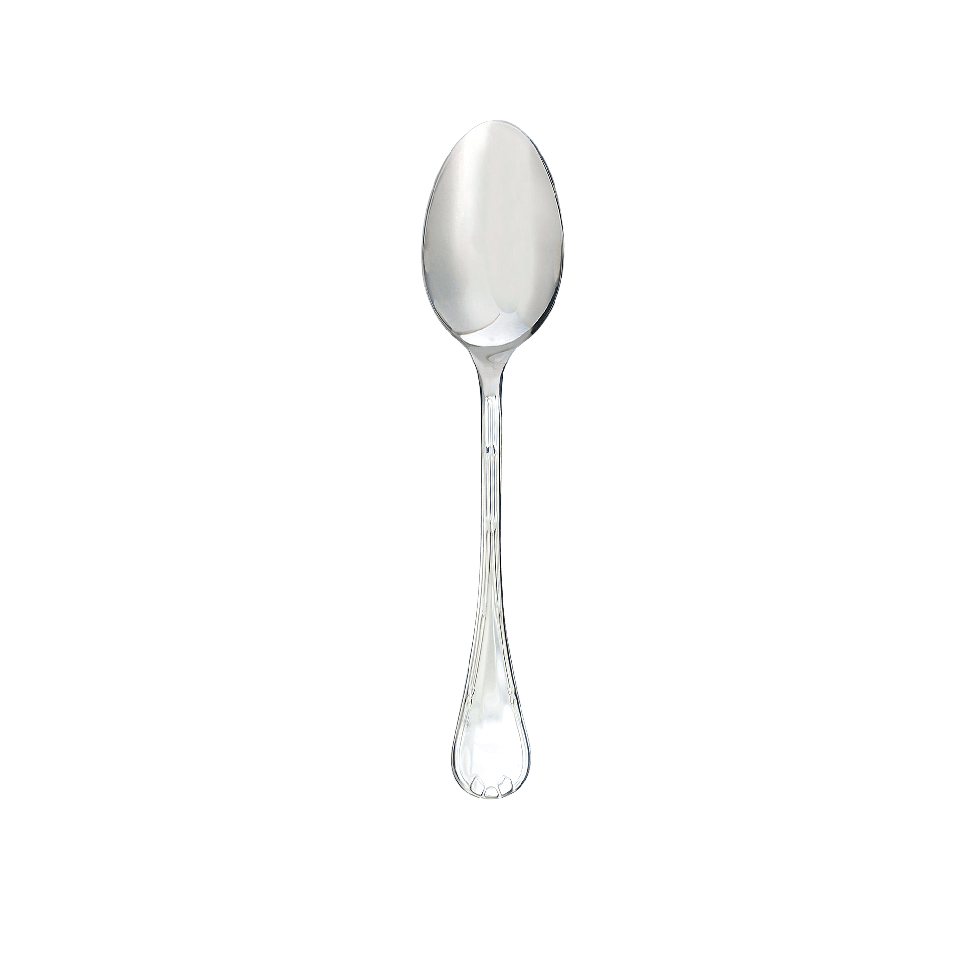 Rubans Serving Spoon
