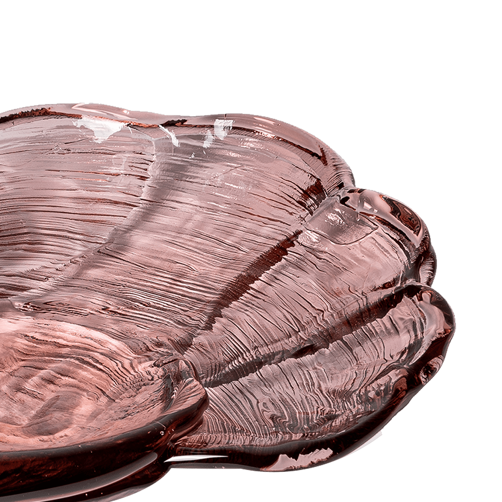 Venus Clam