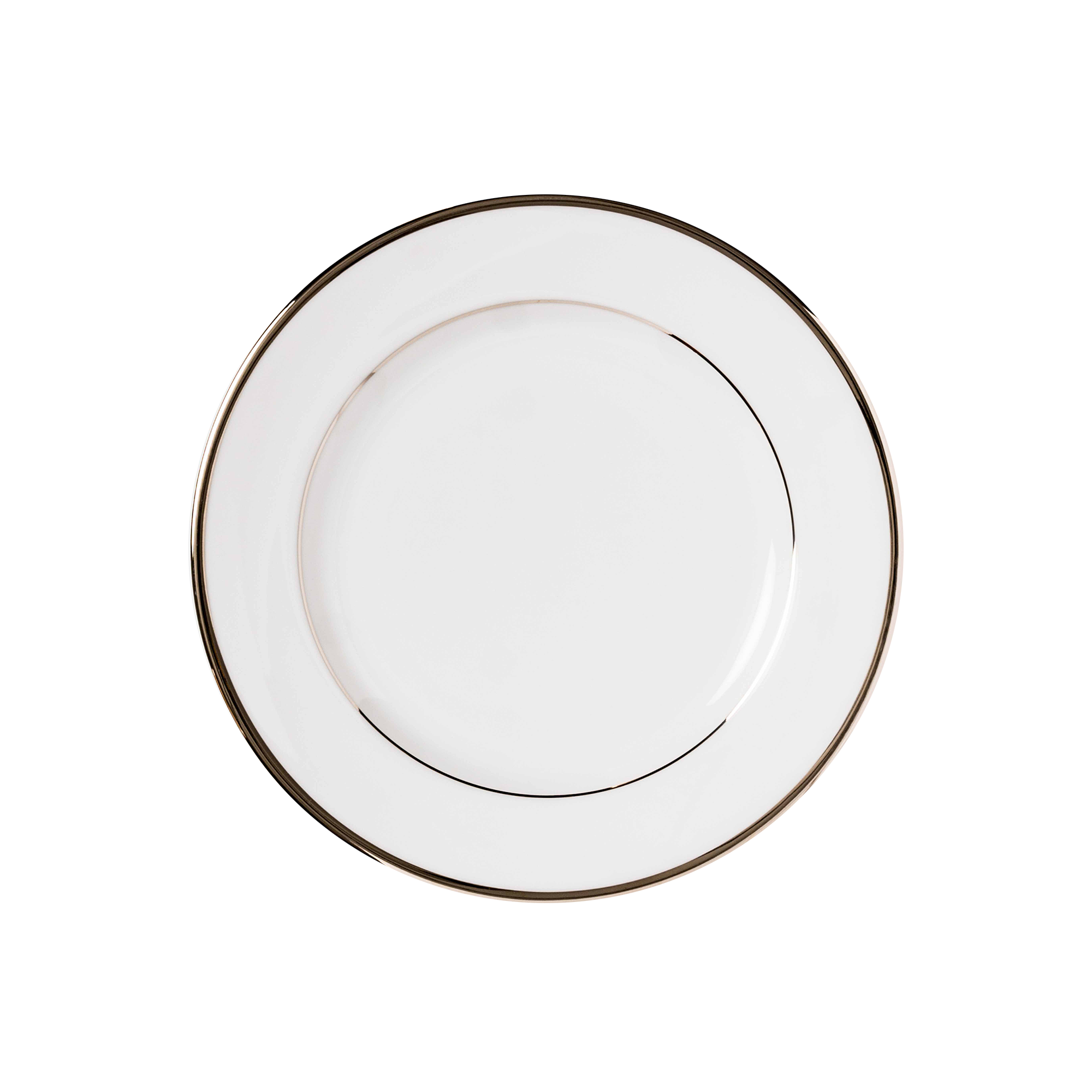 APPETIZER & DESSERT PLATE