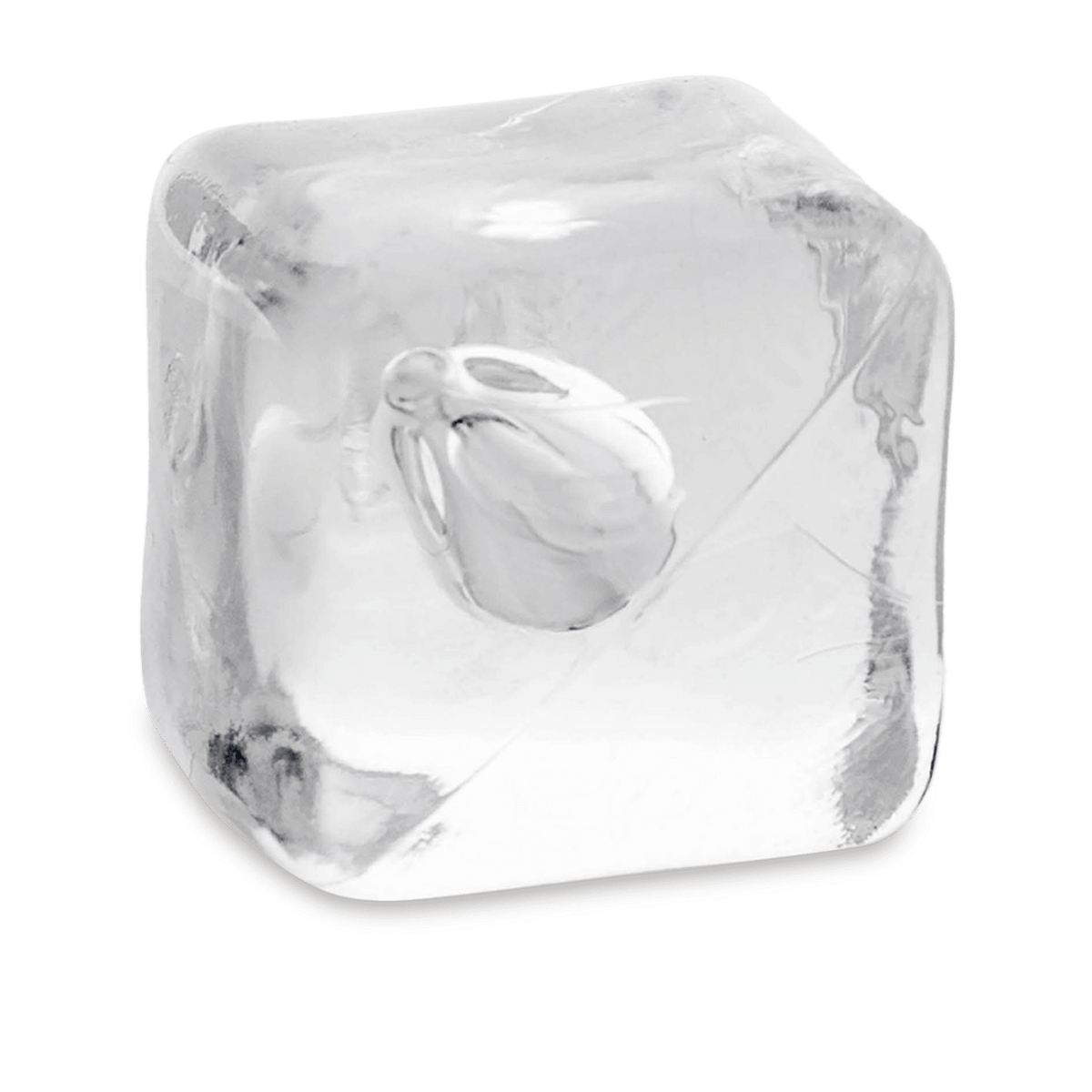 ITEM-001831_2