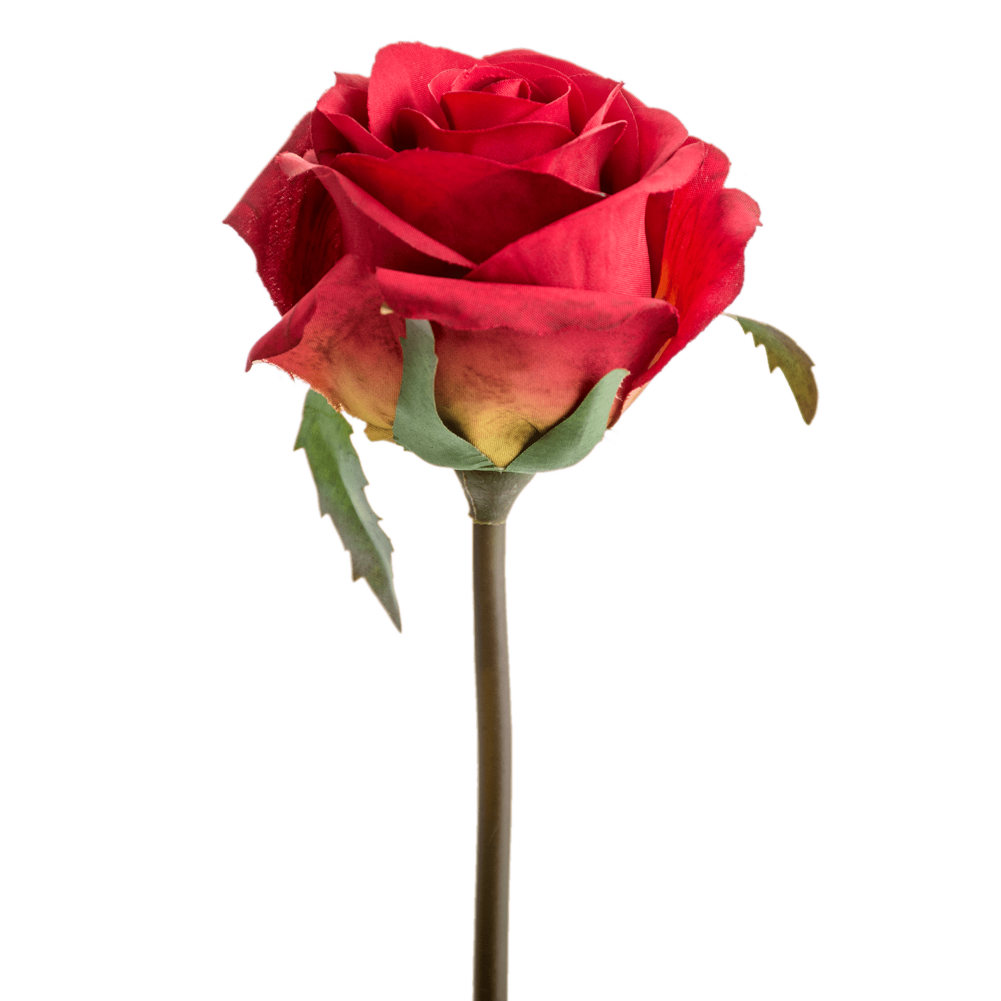 ITEM-002691_1_1