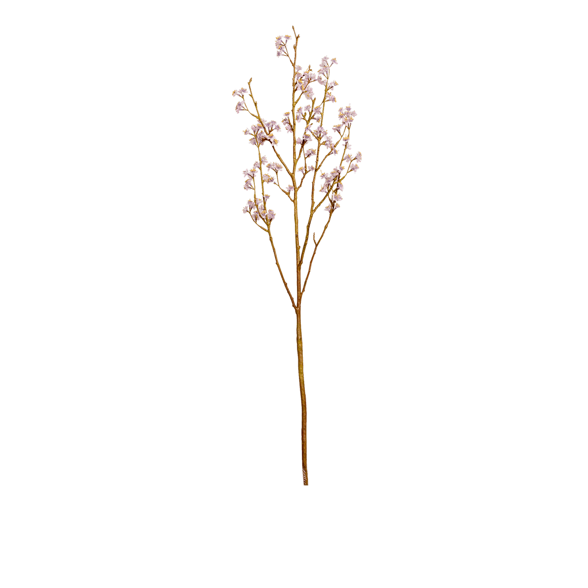 ITEM-004776_2