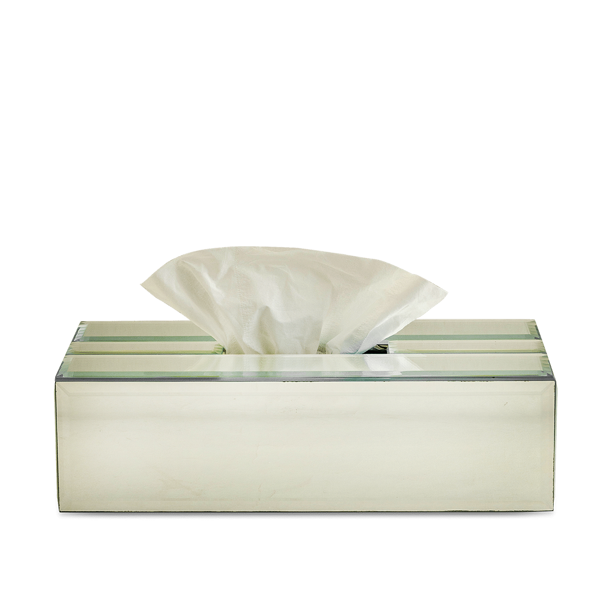 Duplus Mirror Tissue Box