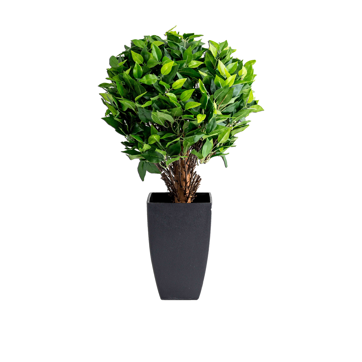 ITEM-006462