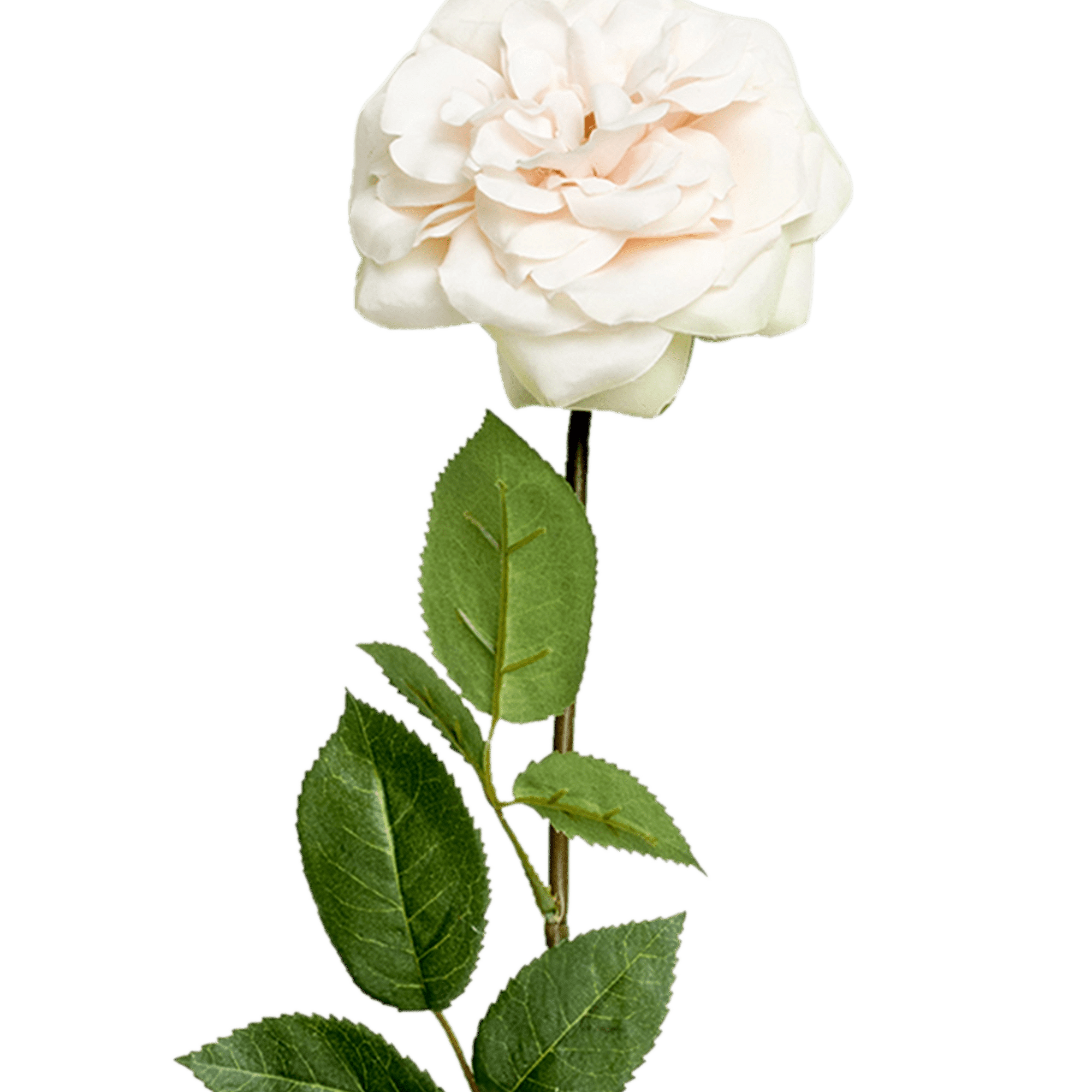 ITEM-007249_1_1