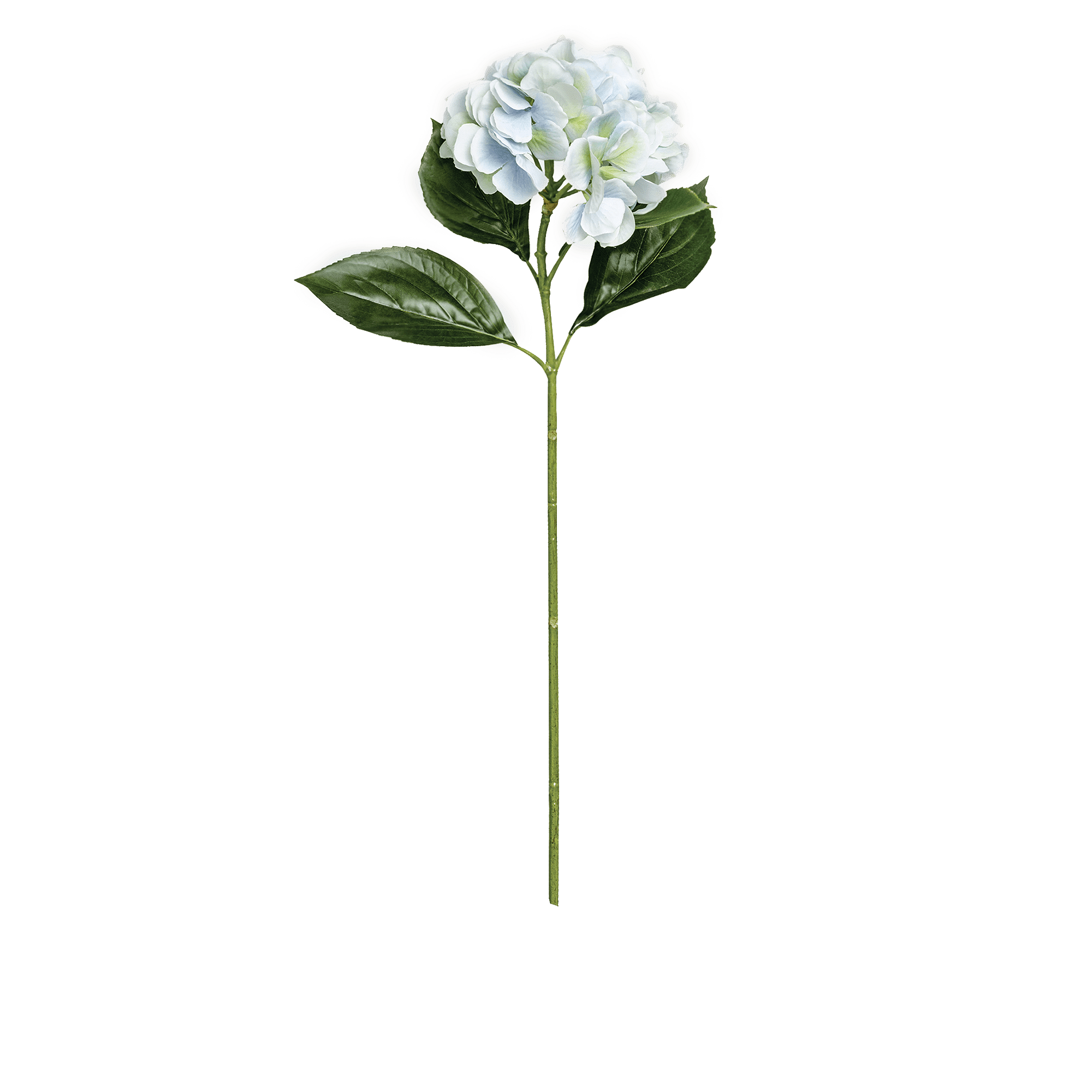 ITEM-007261_2